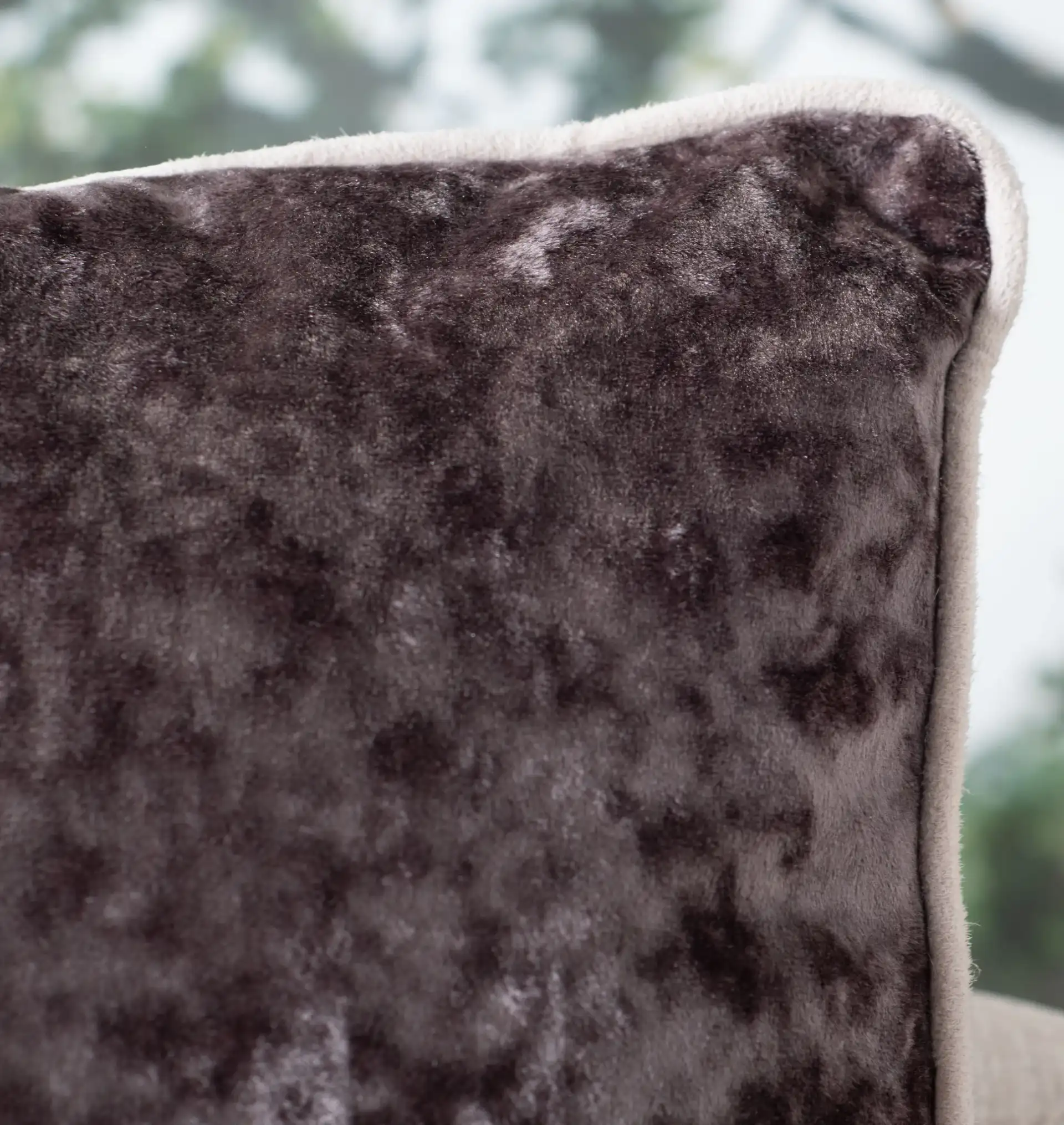 Darian Pillow in Brown in a styled room