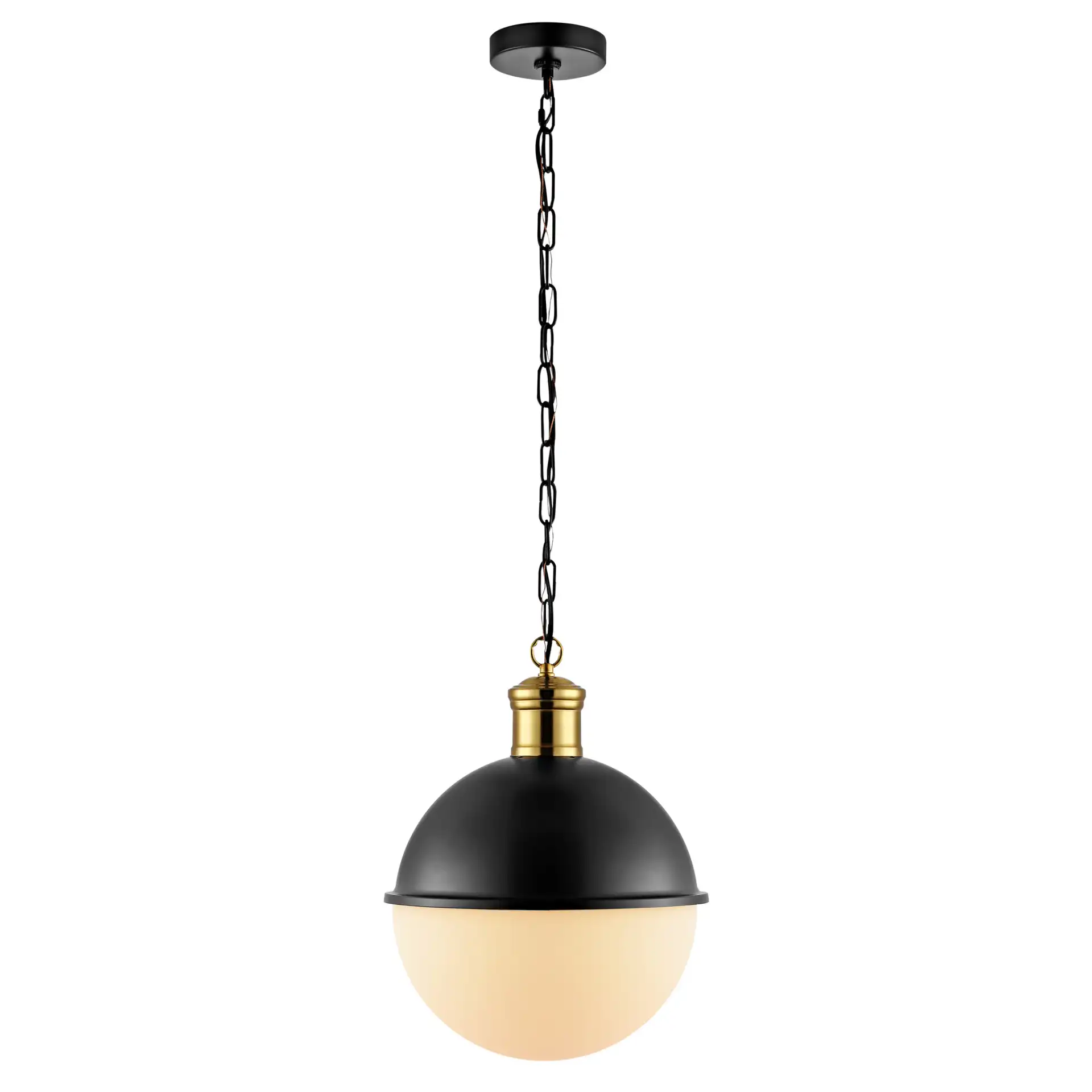 Daylily Pendant in Black / Brass