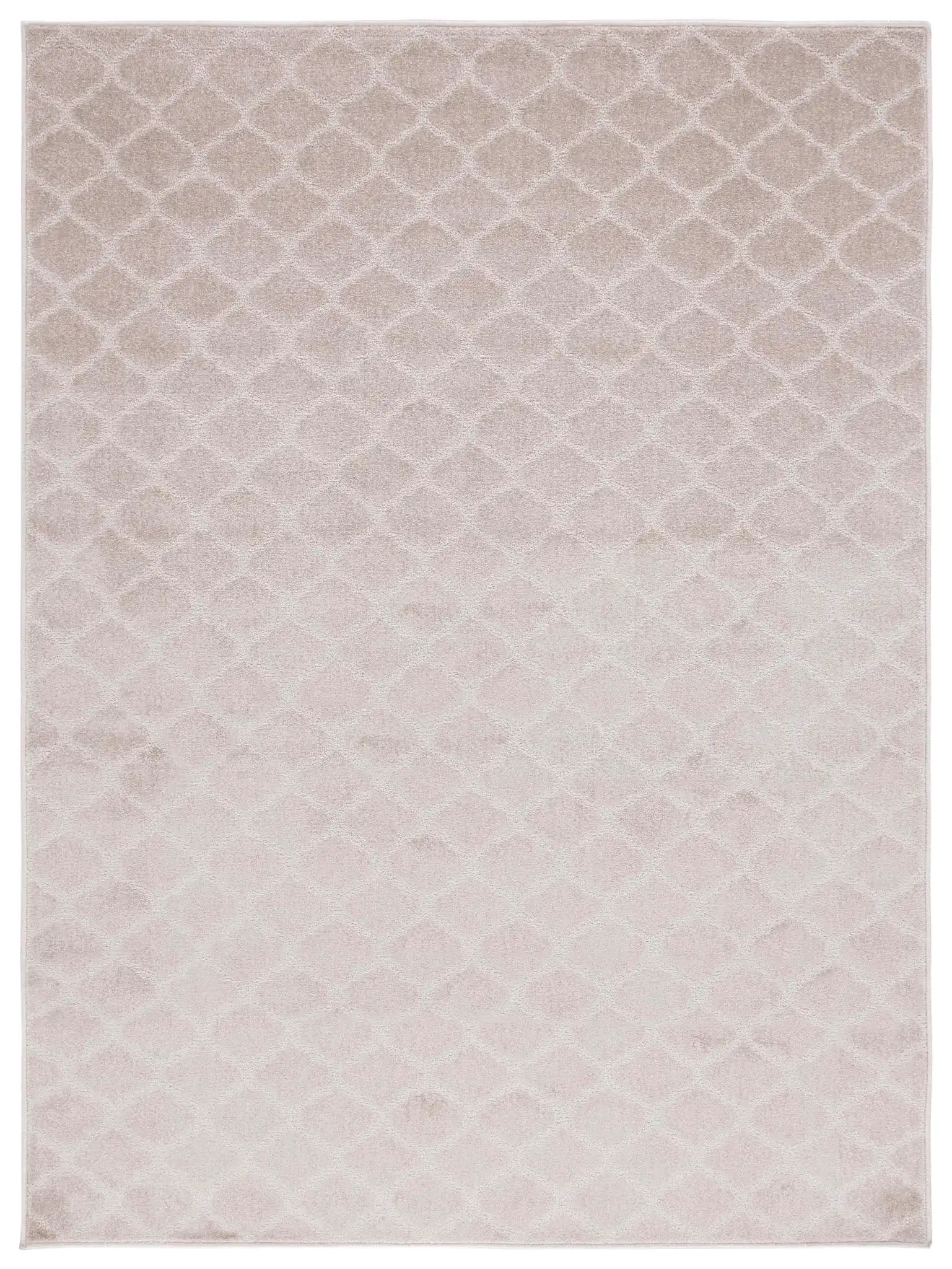 Pattern & Solid Pattern And Solid Trellis Rug in Beige