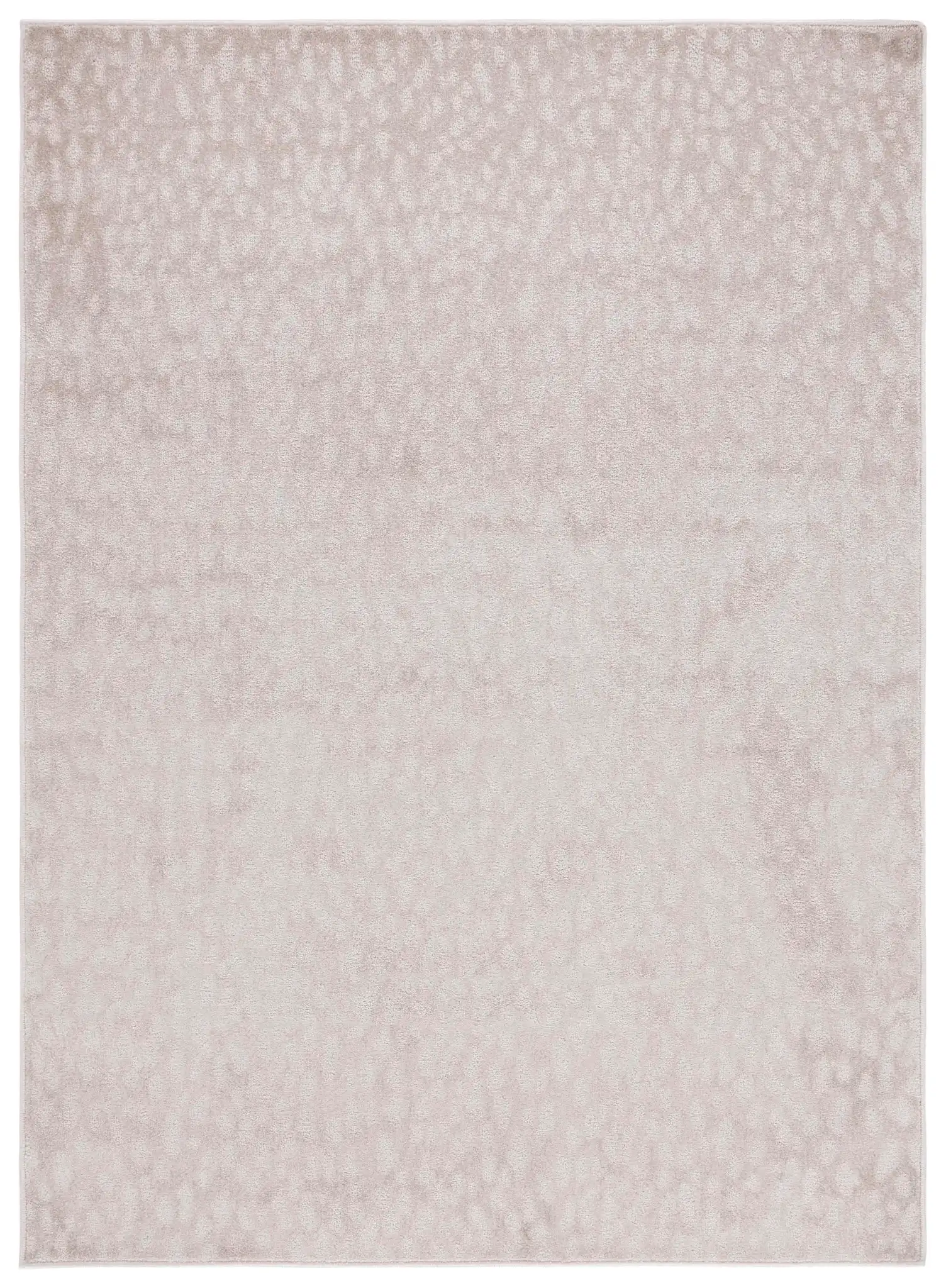 Pattern & Solid Pattern And Solid Spotted Rug in Beige