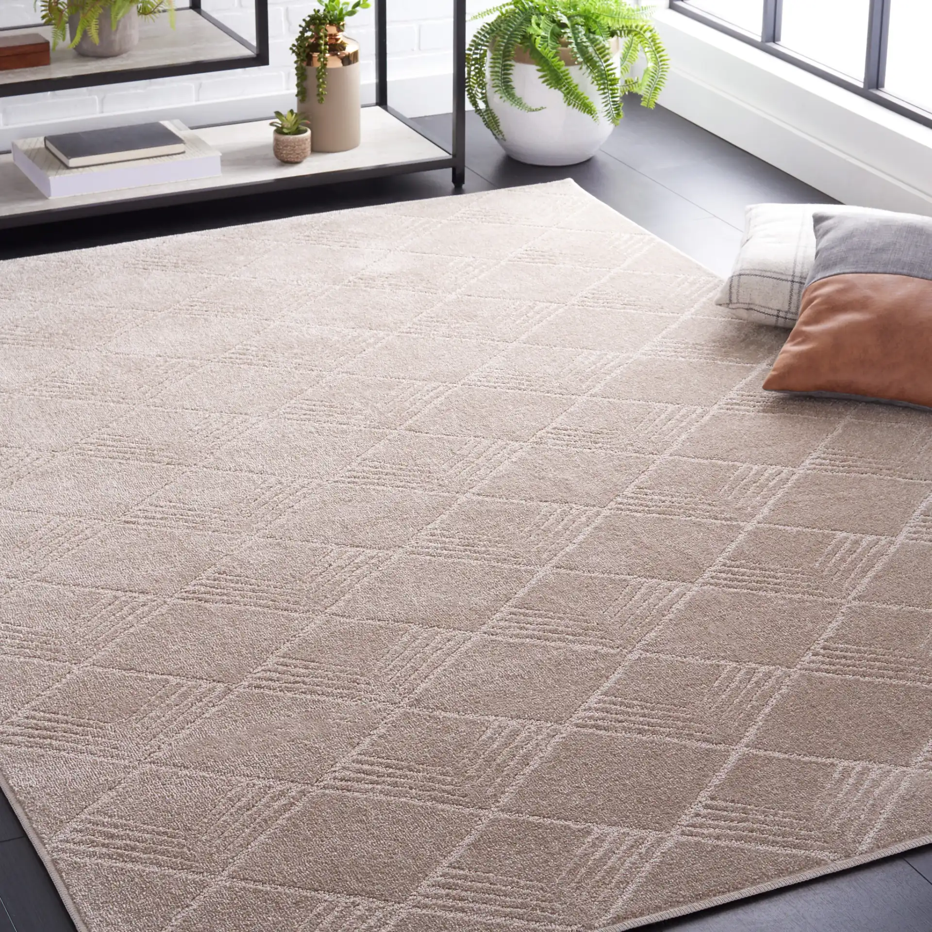 Pattern & Solid Pattern And Solid Diamond Grid Rug in Beige in a styled room