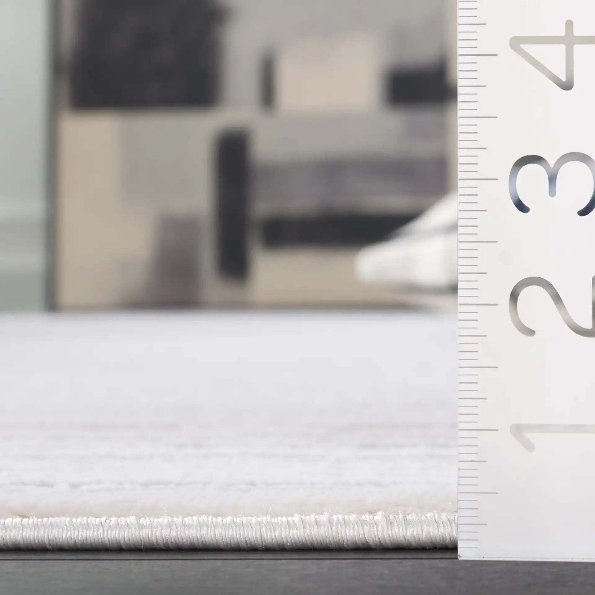 Parker Concentric Border Rug in Taupe / Gray Ivory in a styled room