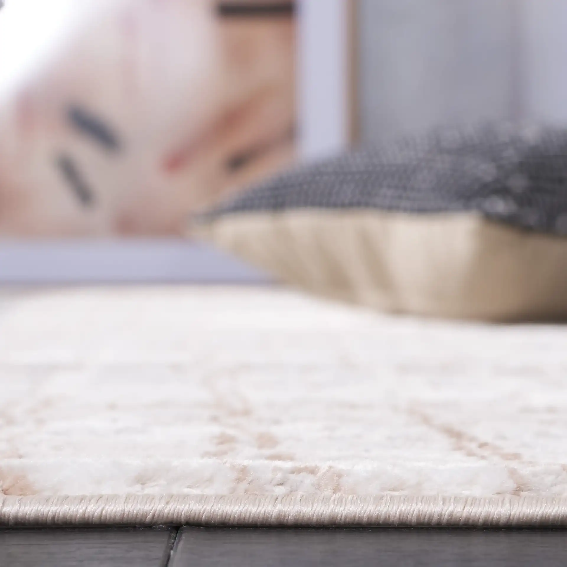 Parker Grid Border Rug in Taupe / Beige Gold in a styled room