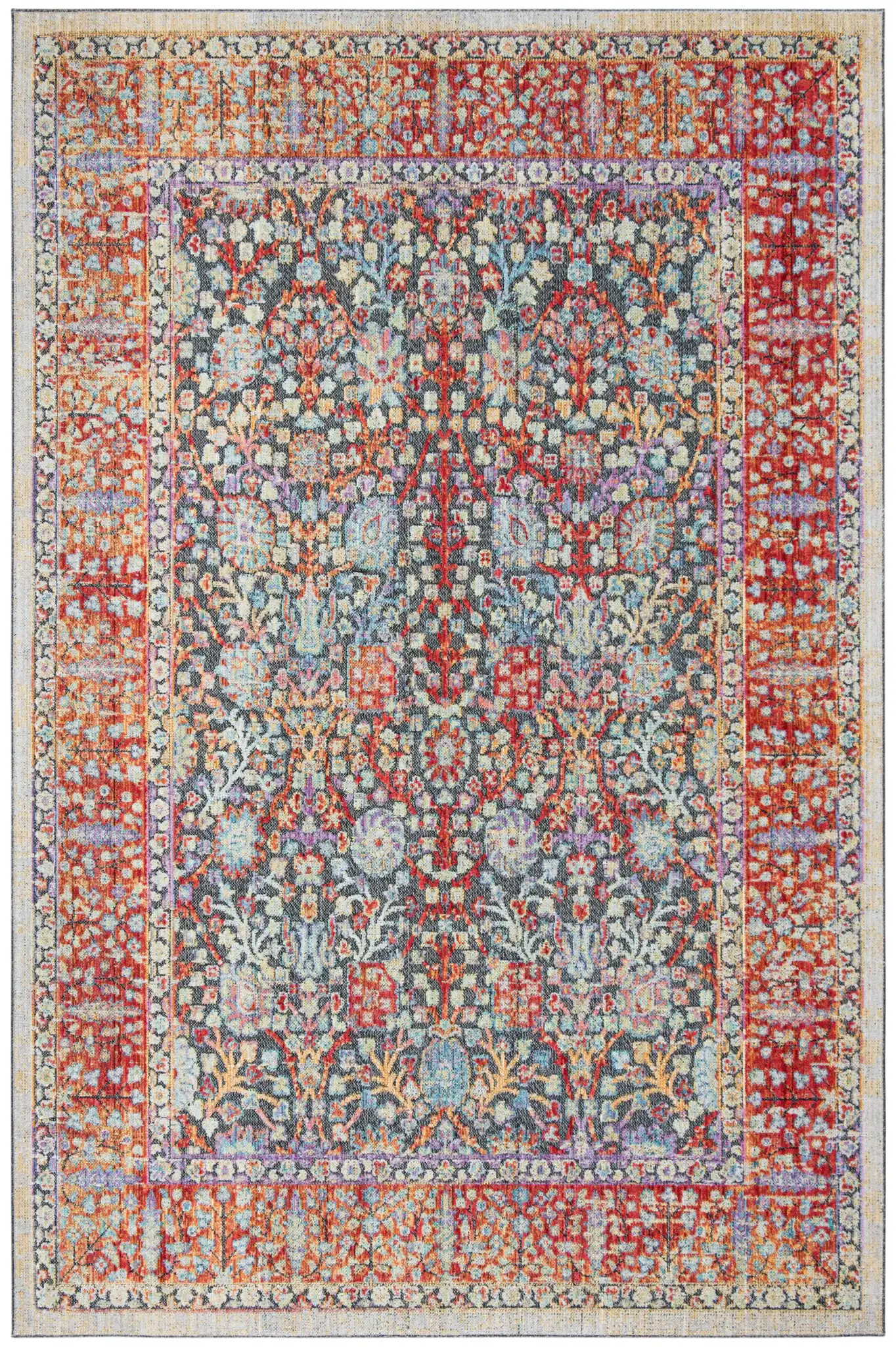 Provance Botanical Border Rug in Red / Black