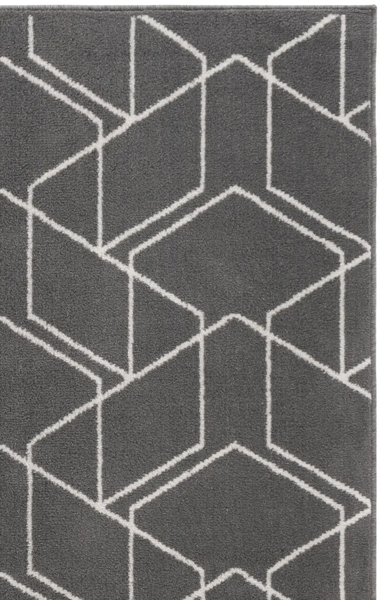 Gray / Ivory