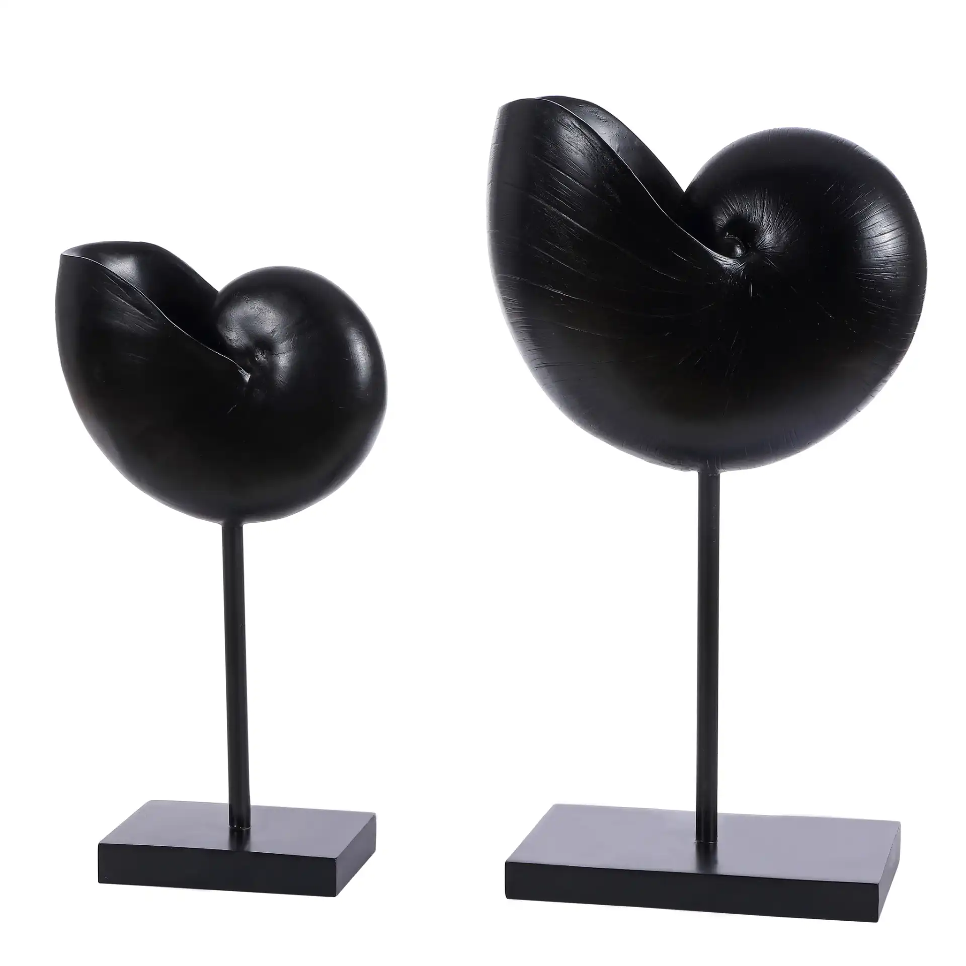 Resi Snail Table Decor (Set Of 2) in Black