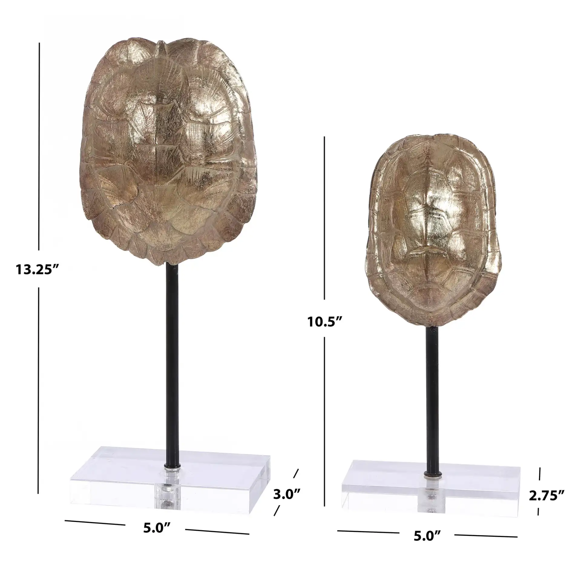 Eris Turtle Shell Table Decor (Set Of 2) in Gold, detail view