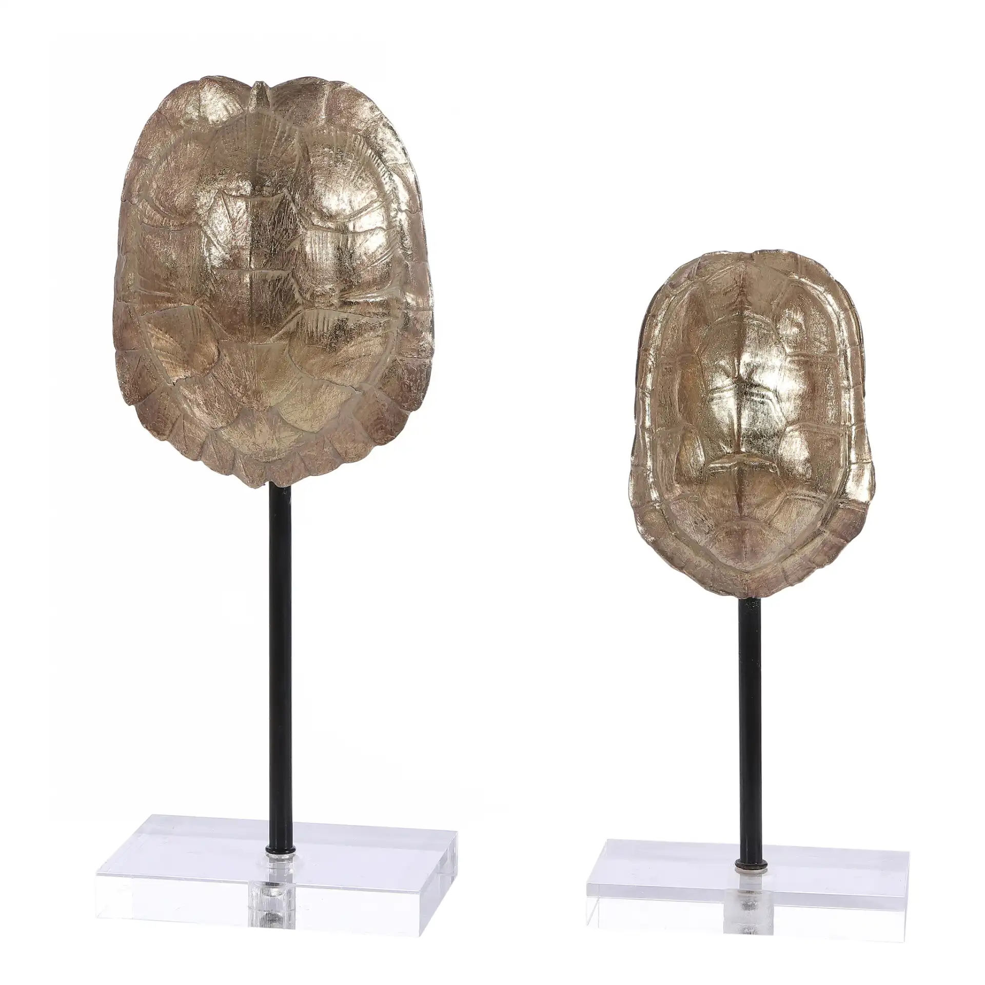 Eris Turtle Shell Table Decor (Set Of 2) in Gold