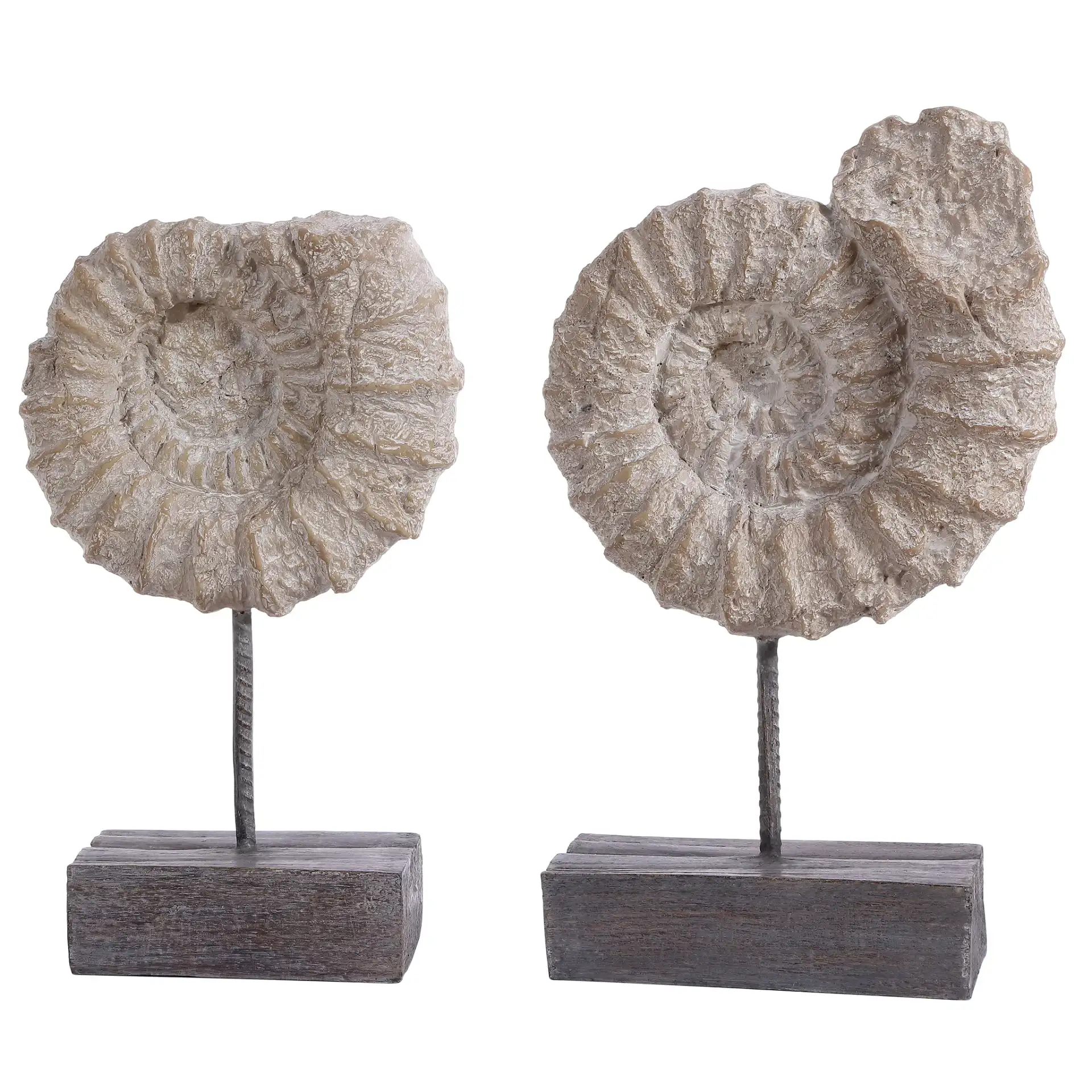 Toren Conch Shell Table Decor (Set Of 2) in Black / White