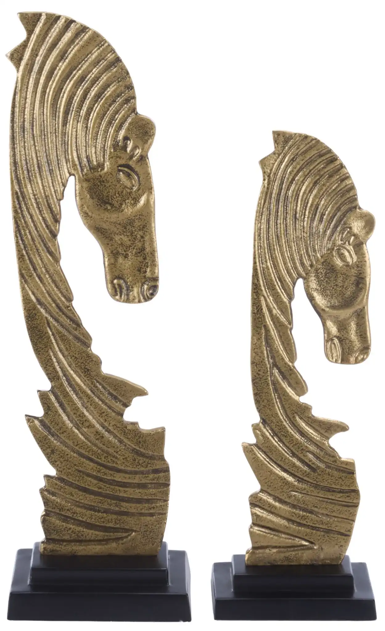 Equo Gold Sculpt ( Set Of 2 ) in Gold / Black