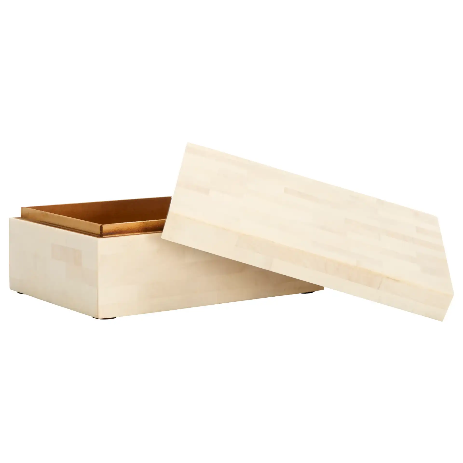 Sabi Decor Box (Set Of 2) in Antique Ivory / Faux Bone, detail view