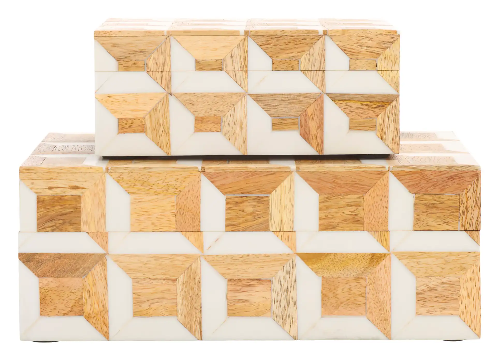 Lori Decor Box (Set Of 2) in Antique Ivory / Natural Brown