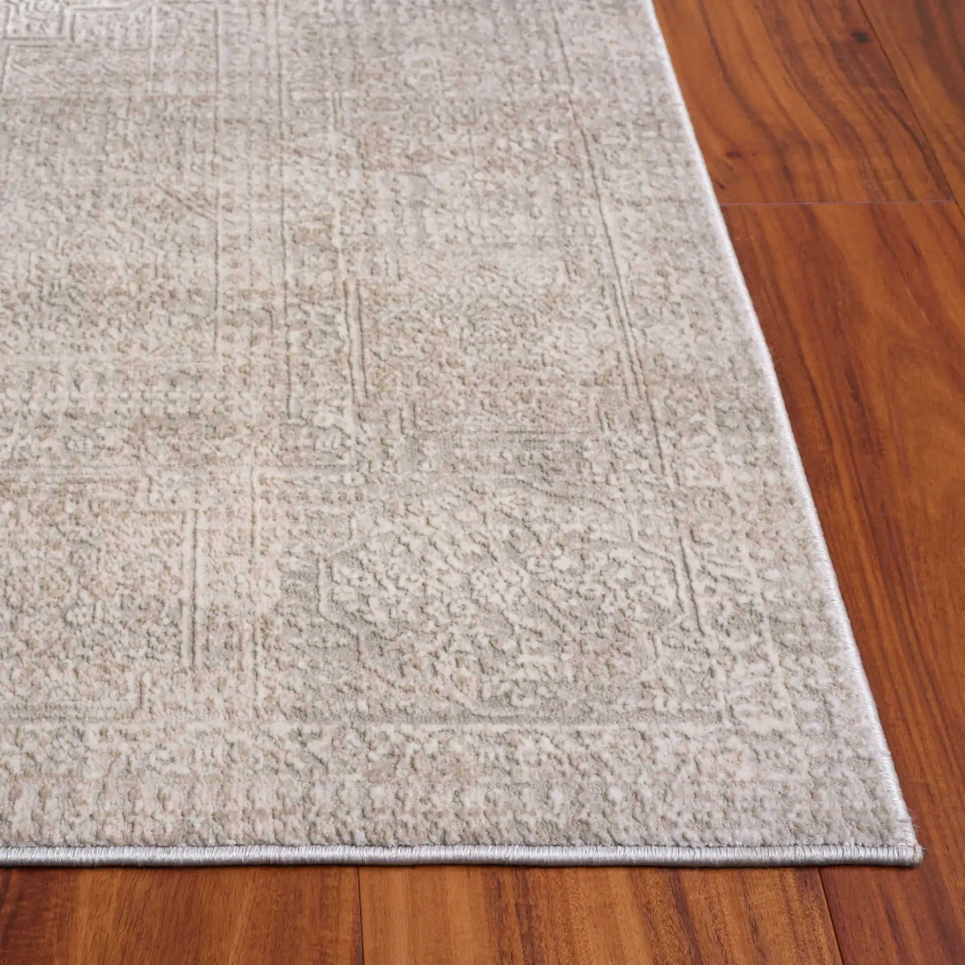 Reflection Evoke Distressed Medallion Rug in Ivory / White in a styled room