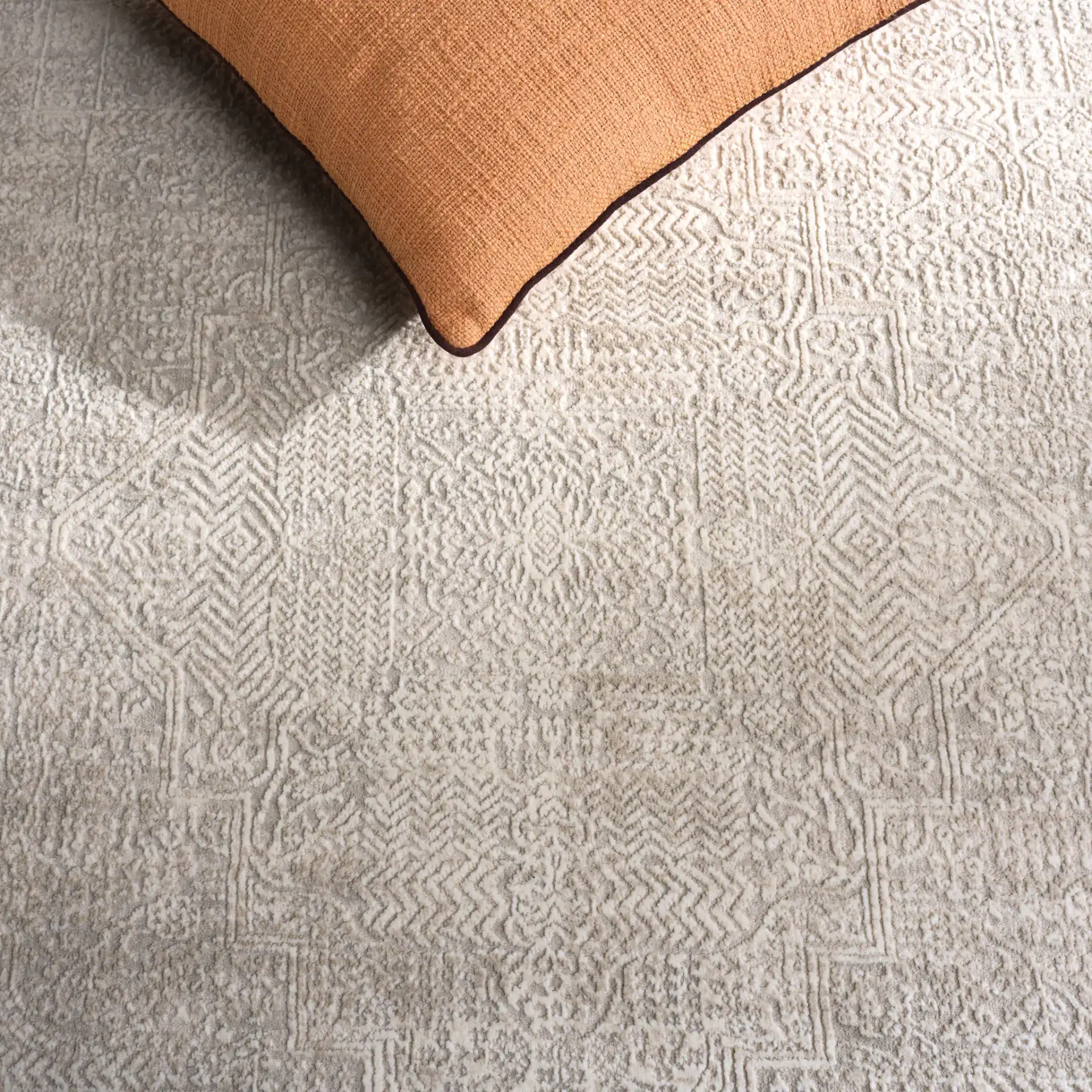 Reflection Evoke Distressed Medallion Rug in Ivory / White in a styled room
