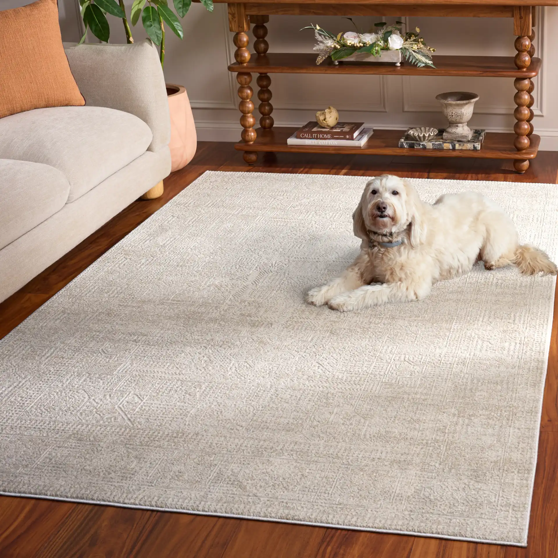 Reflection Evoke Distressed Medallion Rug in Ivory / White in a styled room