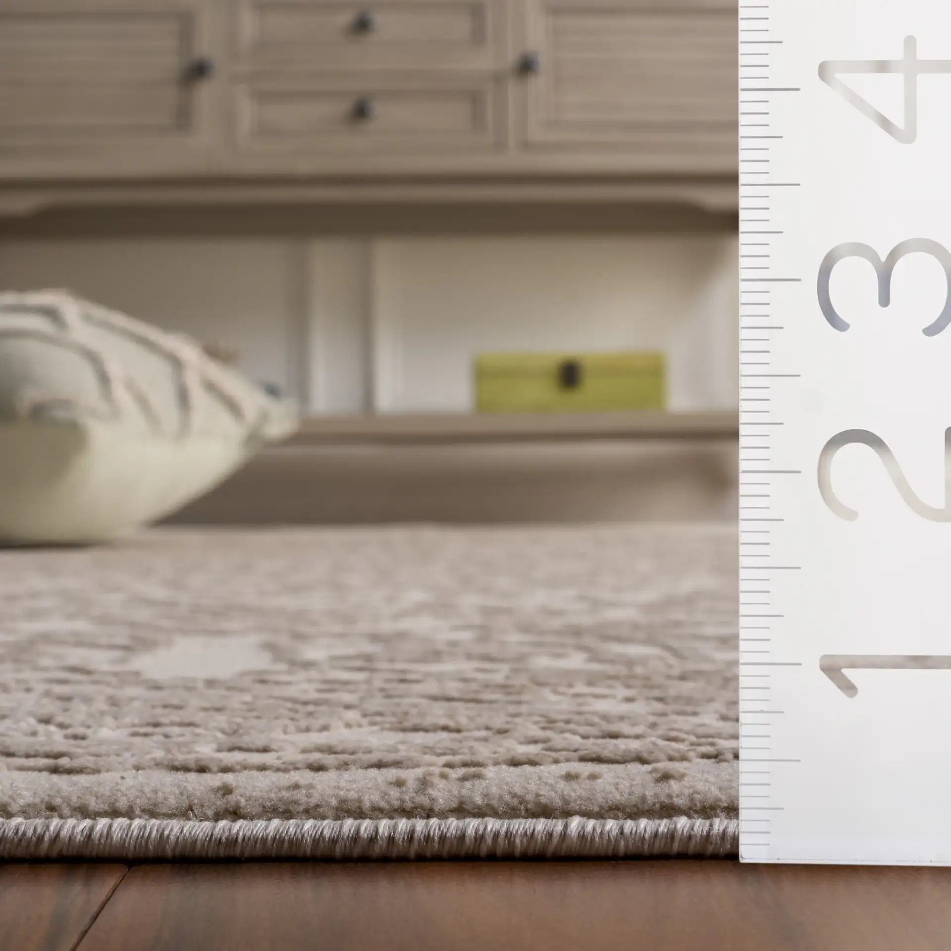 Reflection Elegance Medallion Border Rug in Ivory / White in a styled room