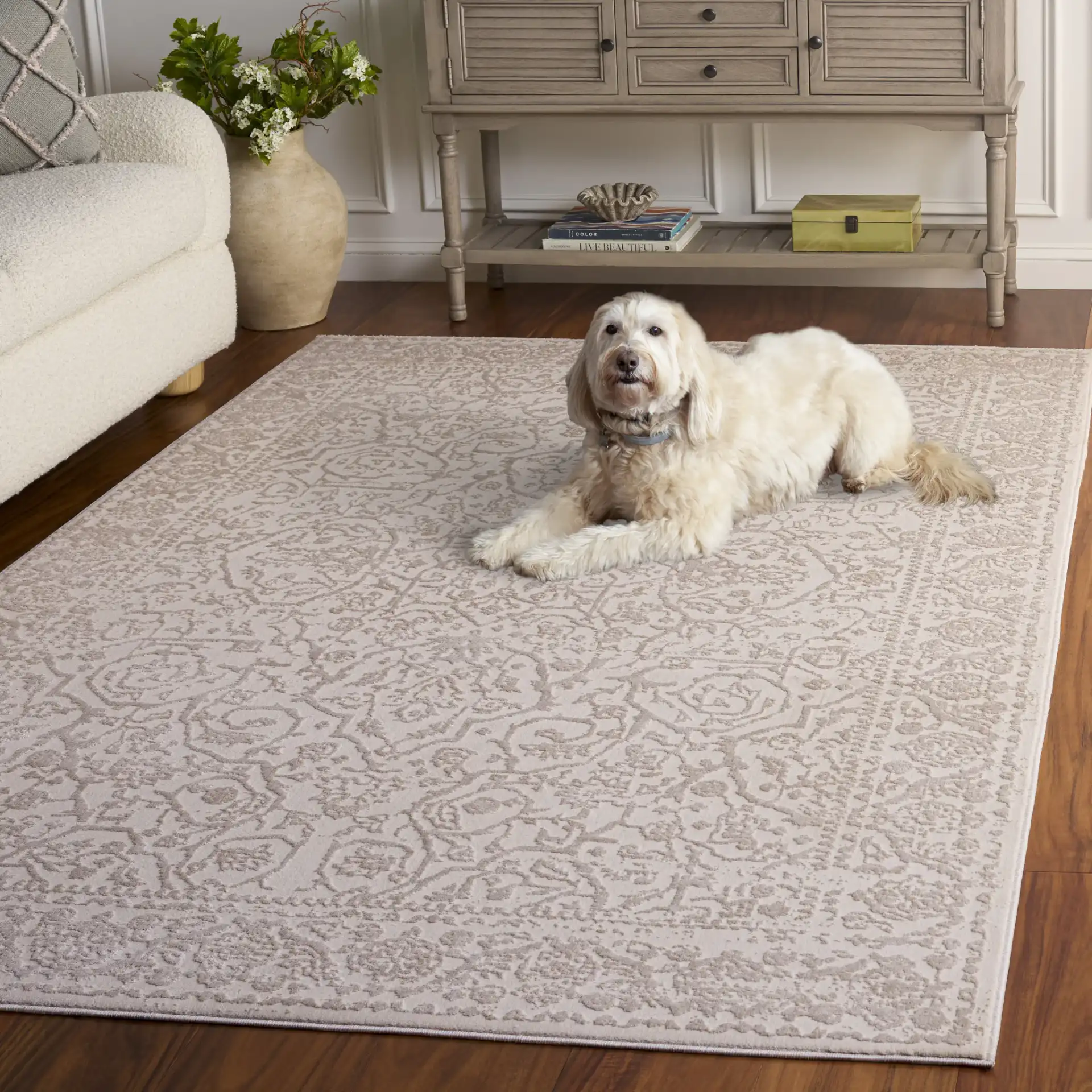 Reflection Elegance Medallion Border Rug in Ivory / White in a styled room