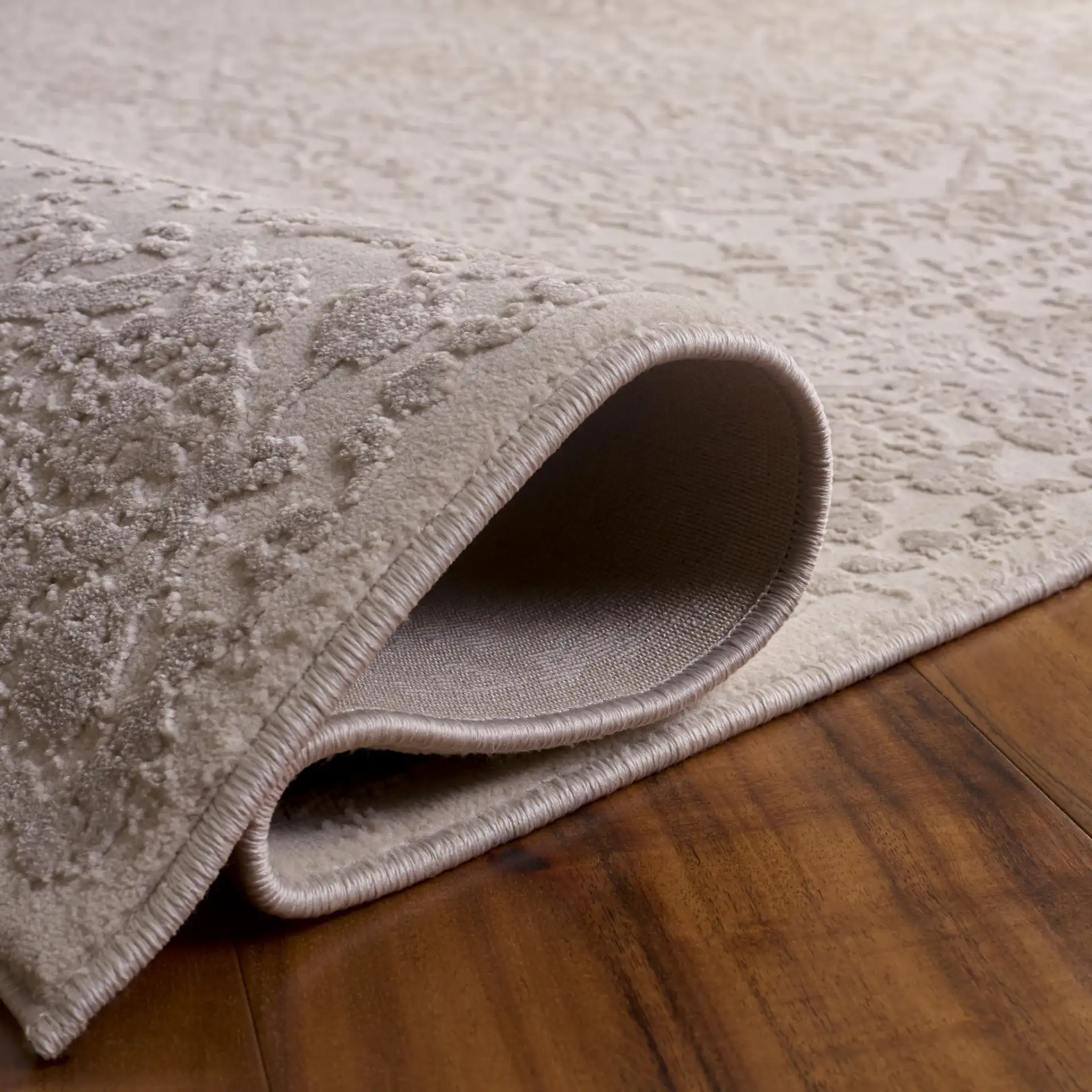Reflection Elegance Medallion Border Rug in Ivory / White in a styled room