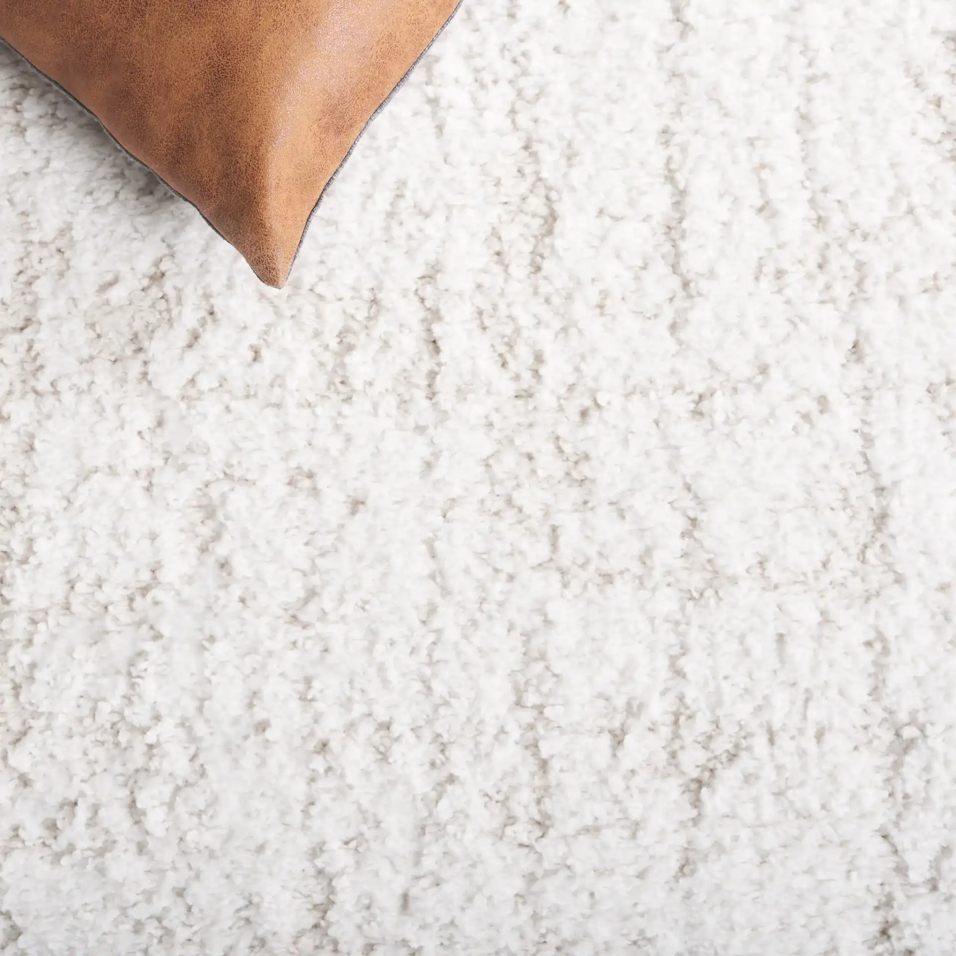 Rumi Textured Heathered Shag Rug in Ivory / Light Beige in a styled room