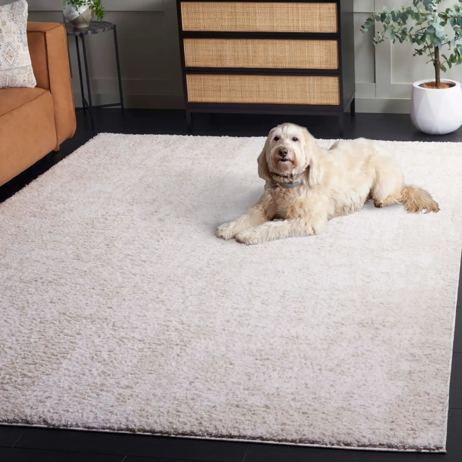 Rumi Textured Heathered Shag Rug in Ivory / Light Beige in a styled room