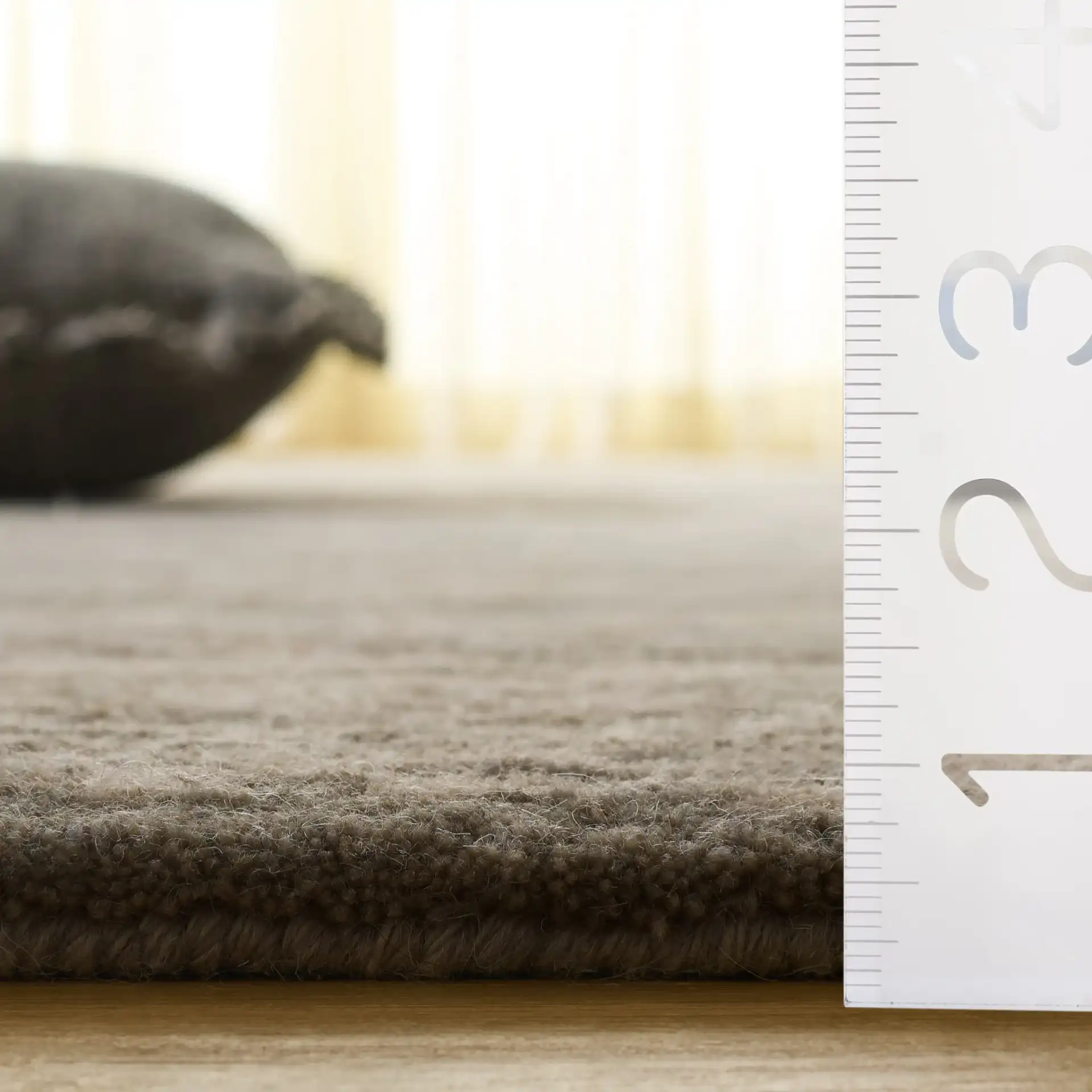 Royalty Palmette Bordered Hand-Tufted Wool Rug in Gray / Cream in a styled room