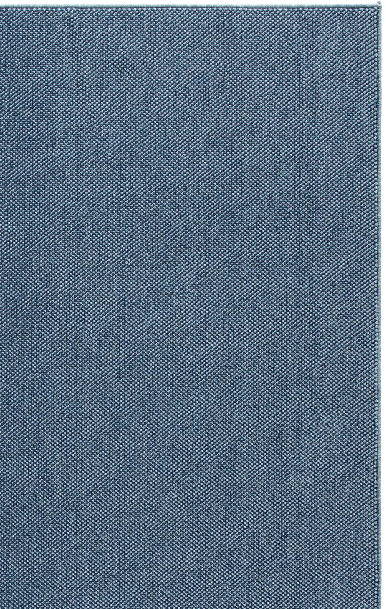 Blue / Navy