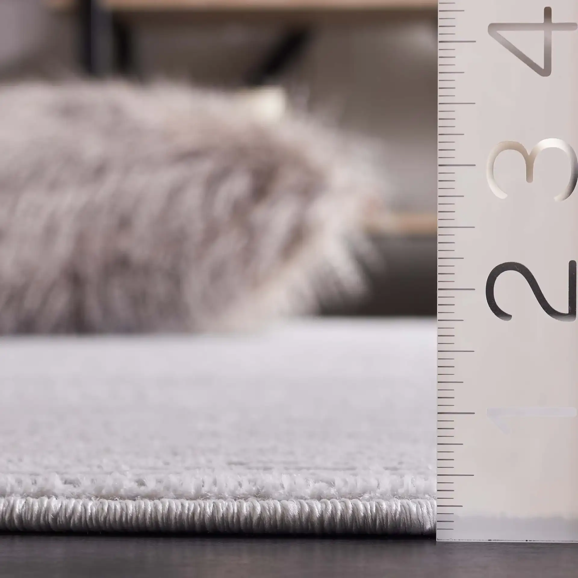 Saylor Ribbed Rug in Gray in a styled room