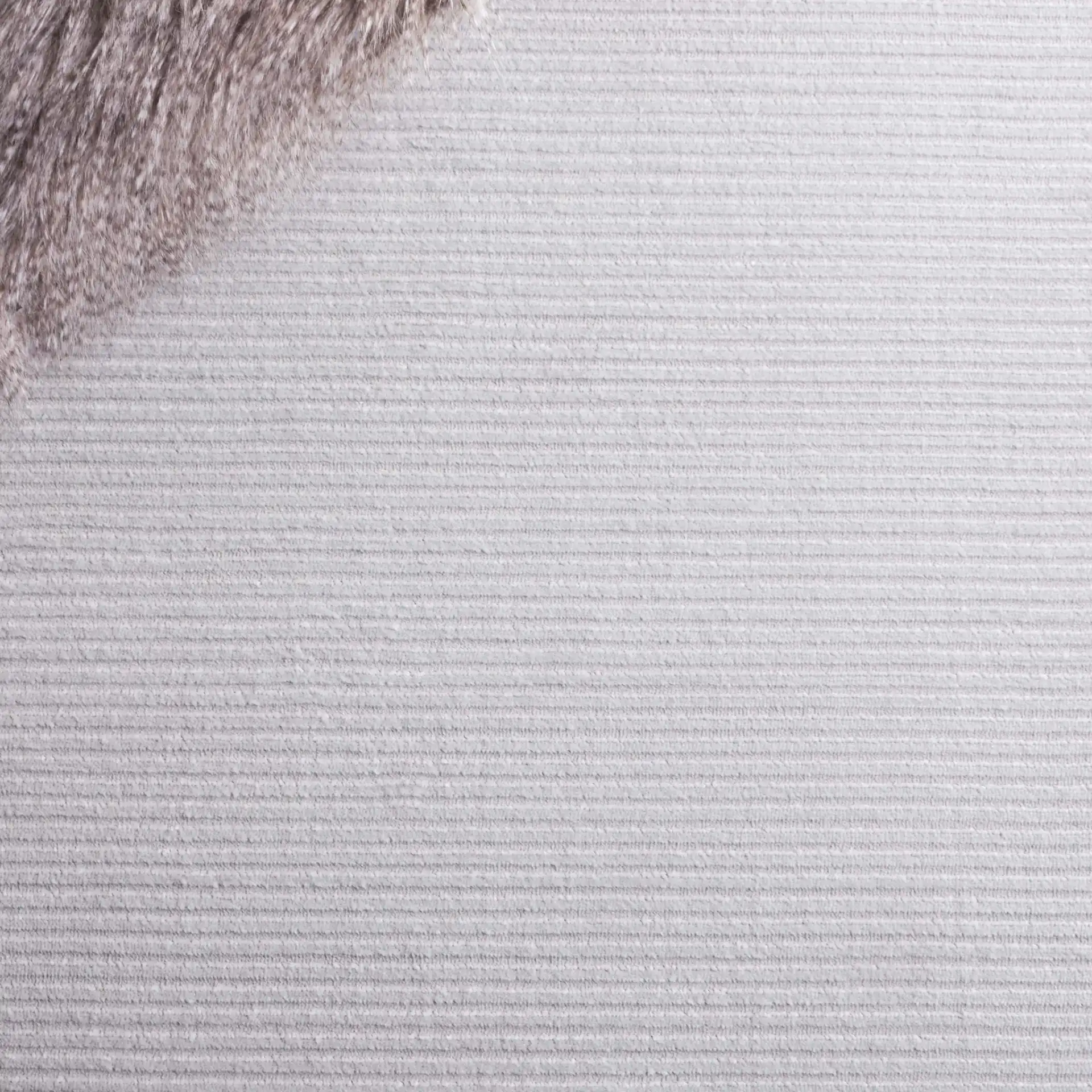 Saylor Ribbed Rug in Gray in a styled room