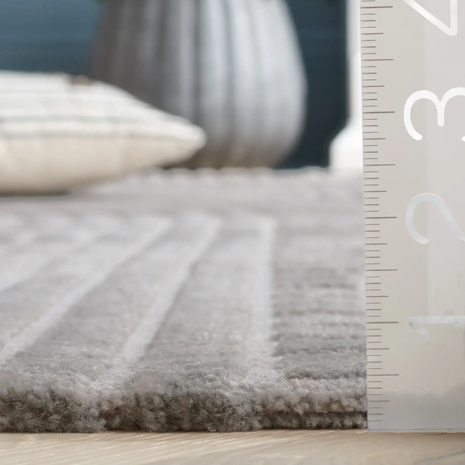 Saylor Arched Stripe Rug in Gray in a styled room