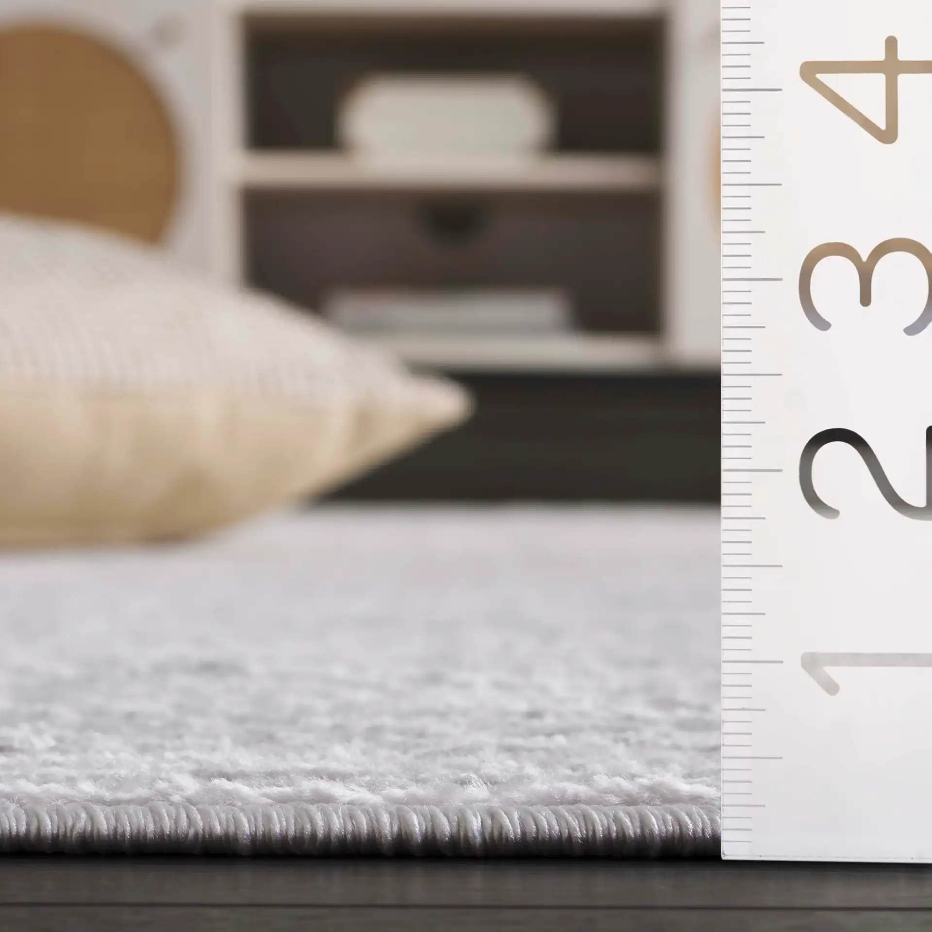 Saylor Chevron Border Rug in Ivory in a styled room