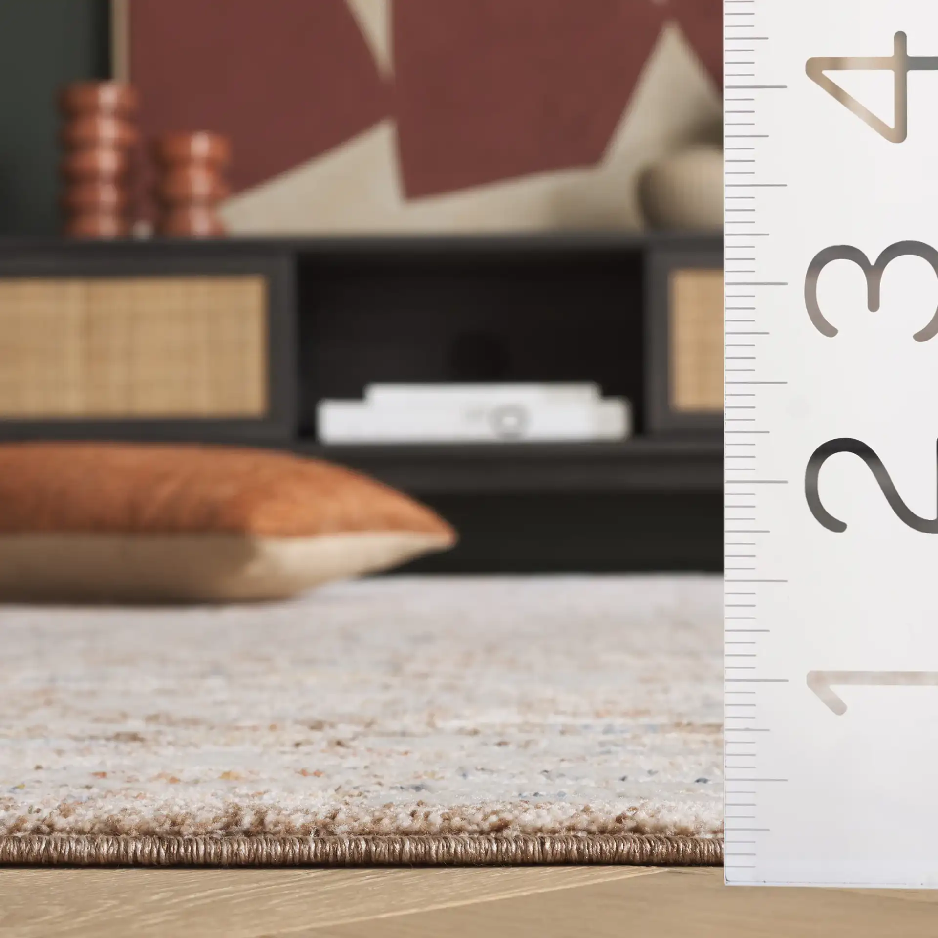 Scarlett Distressed Diamond Border Rug in Brown / Ivory in a styled room