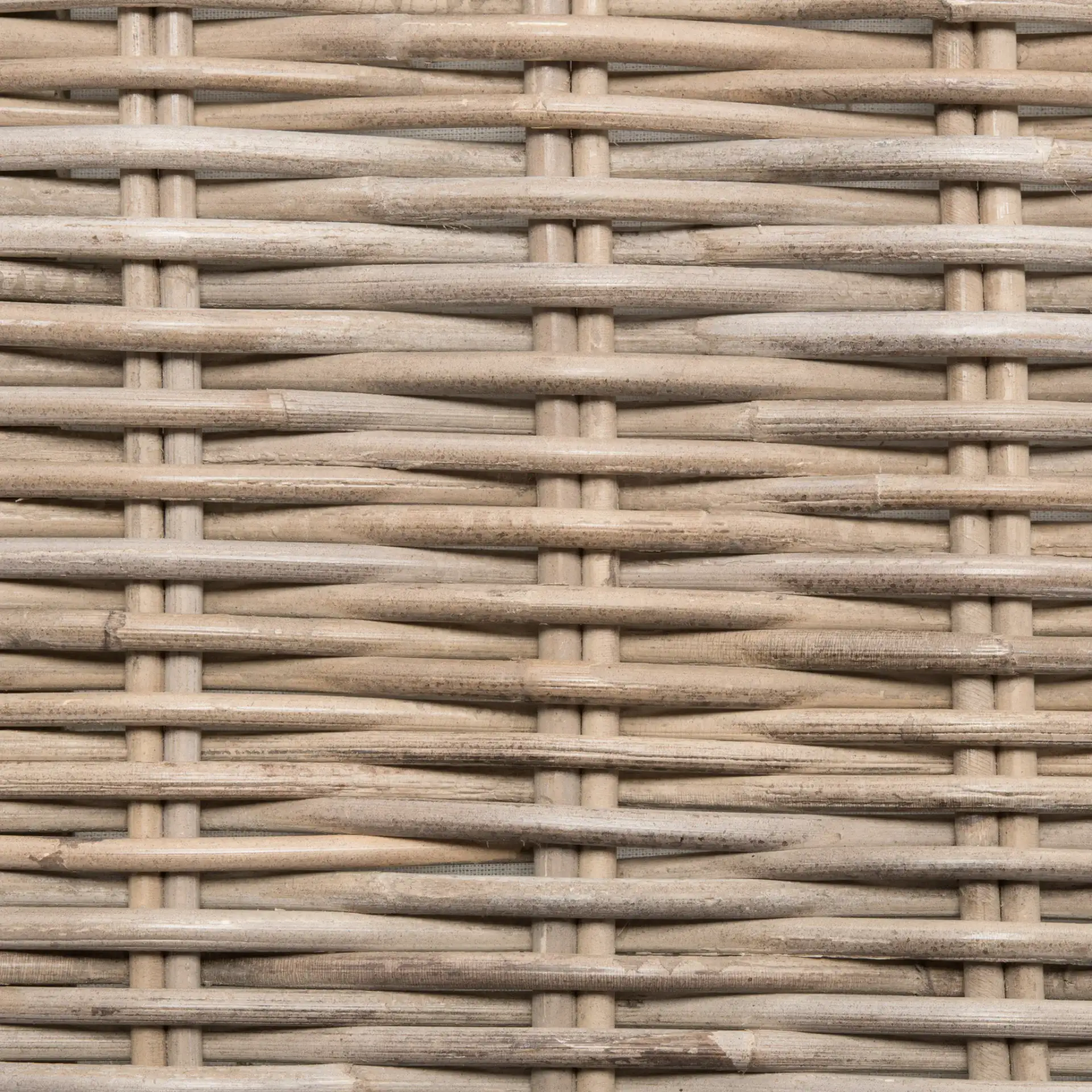 Caius Trunk in Gray, detail view