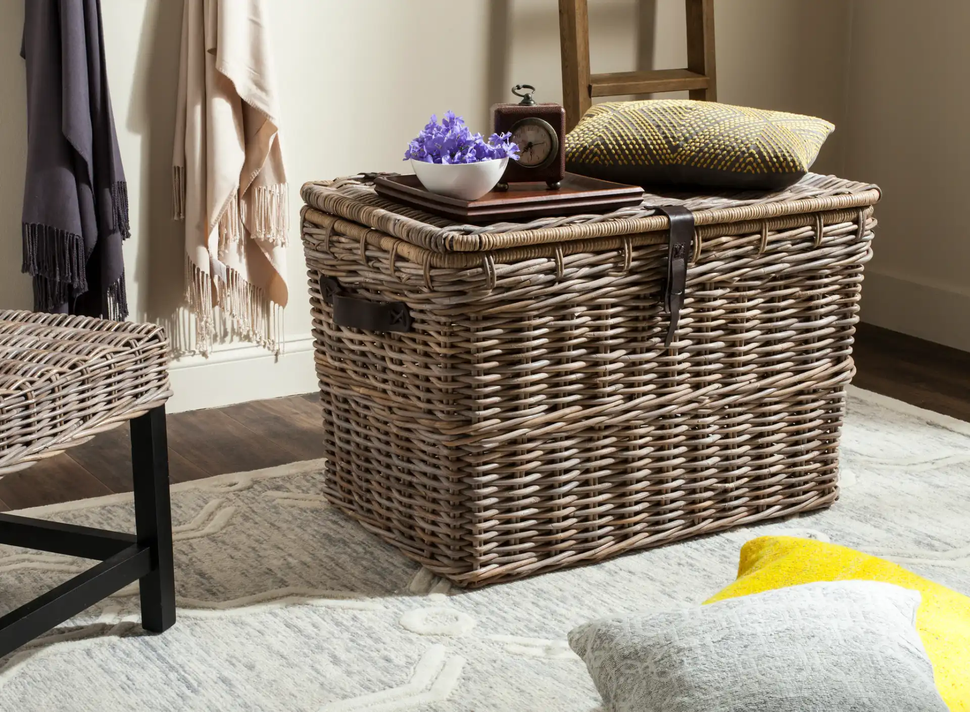 Amancio Trunk in Gray in a styled room