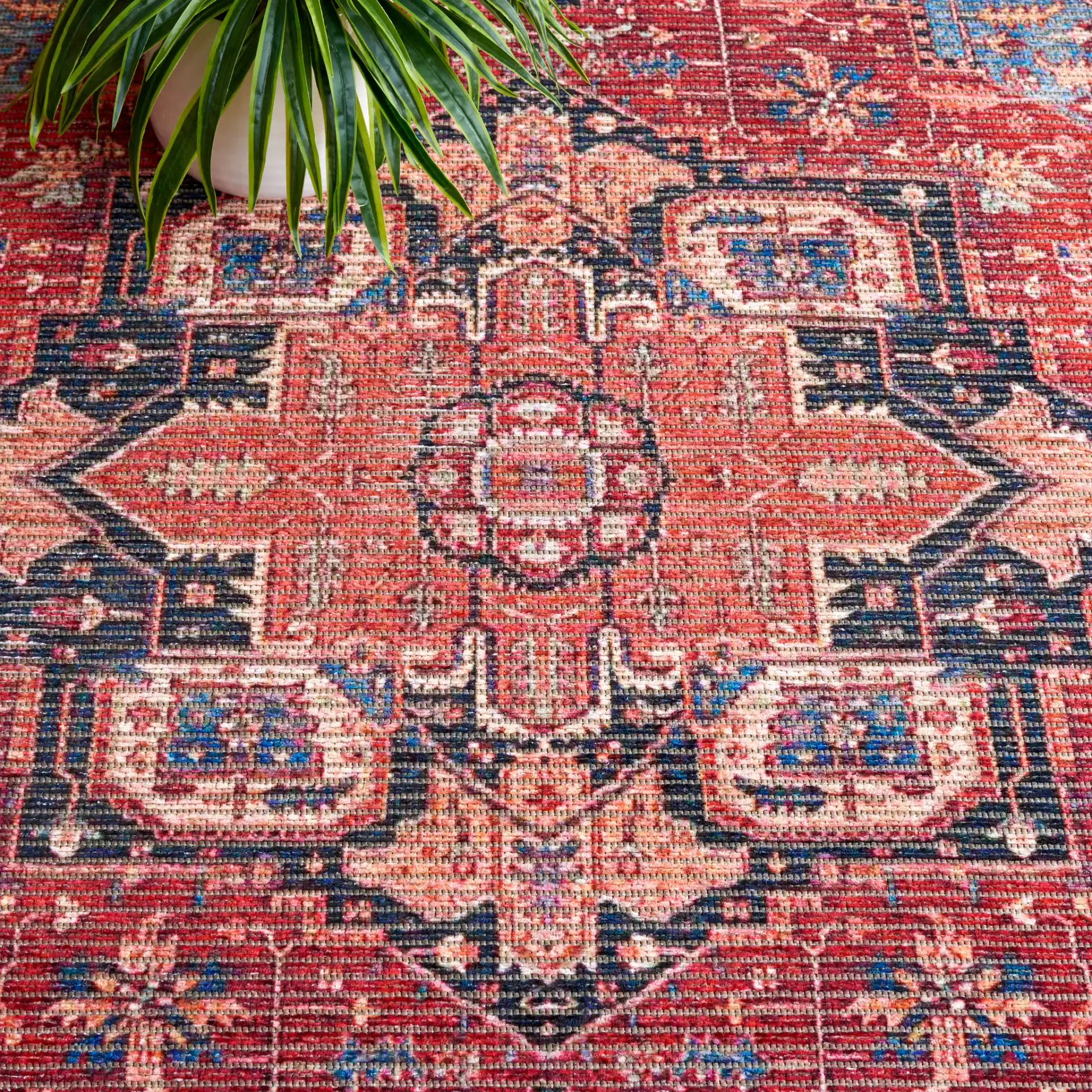 Serapi Bordered Medallion Washable Rug in Red / Blue in a styled room