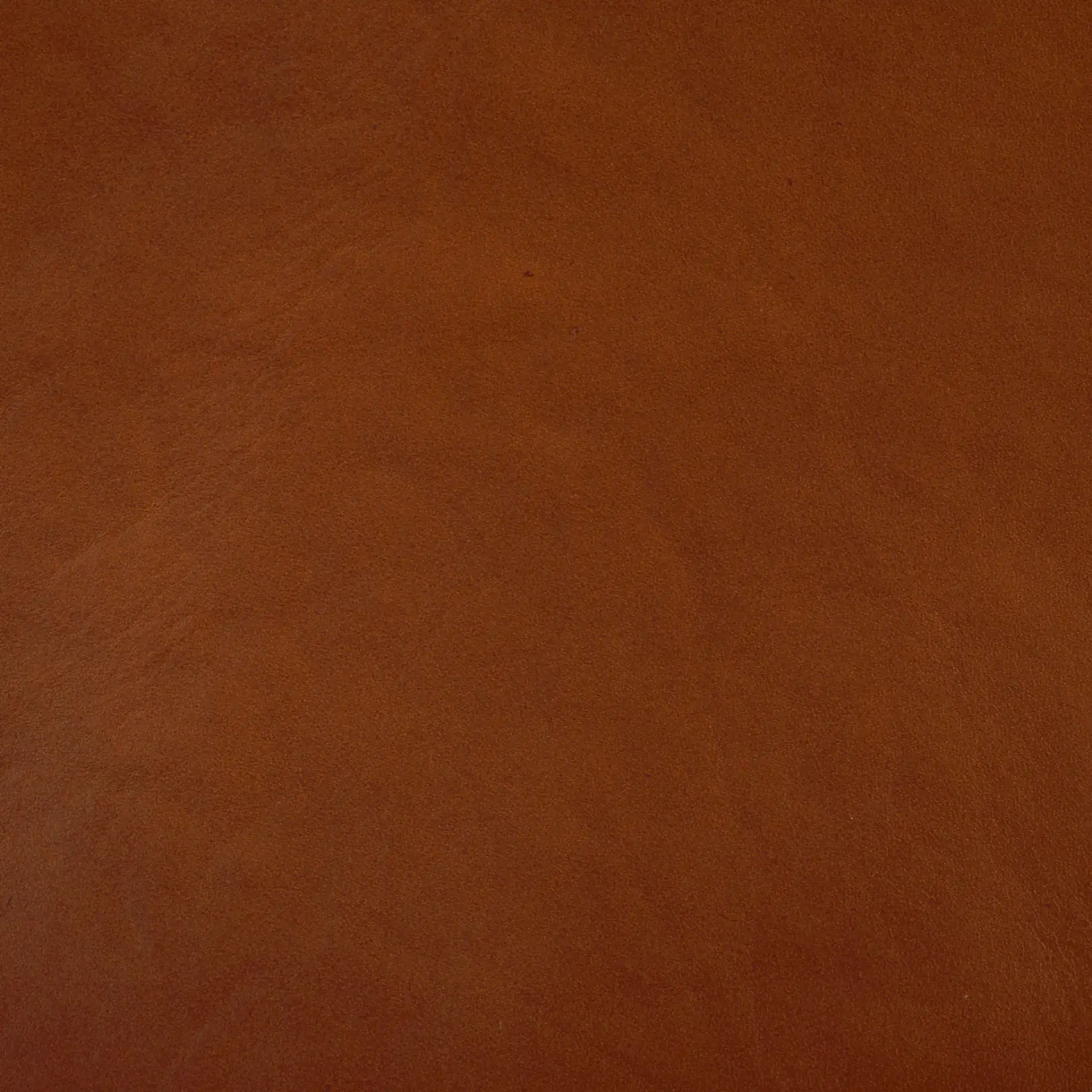 Alanarose Leather Accent Chair in Tan / Natural, detail view