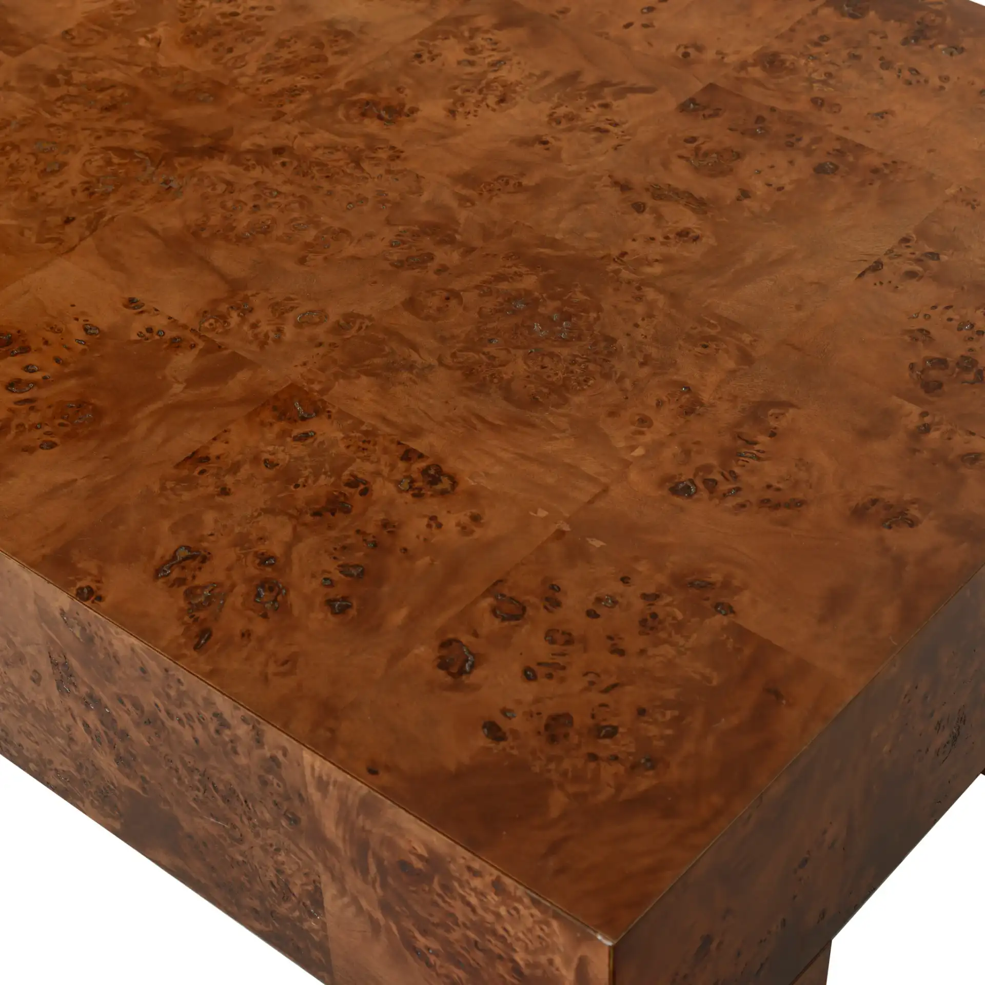 Betharose Burl Wood Coffee Table in Walnut Burl in a styled room