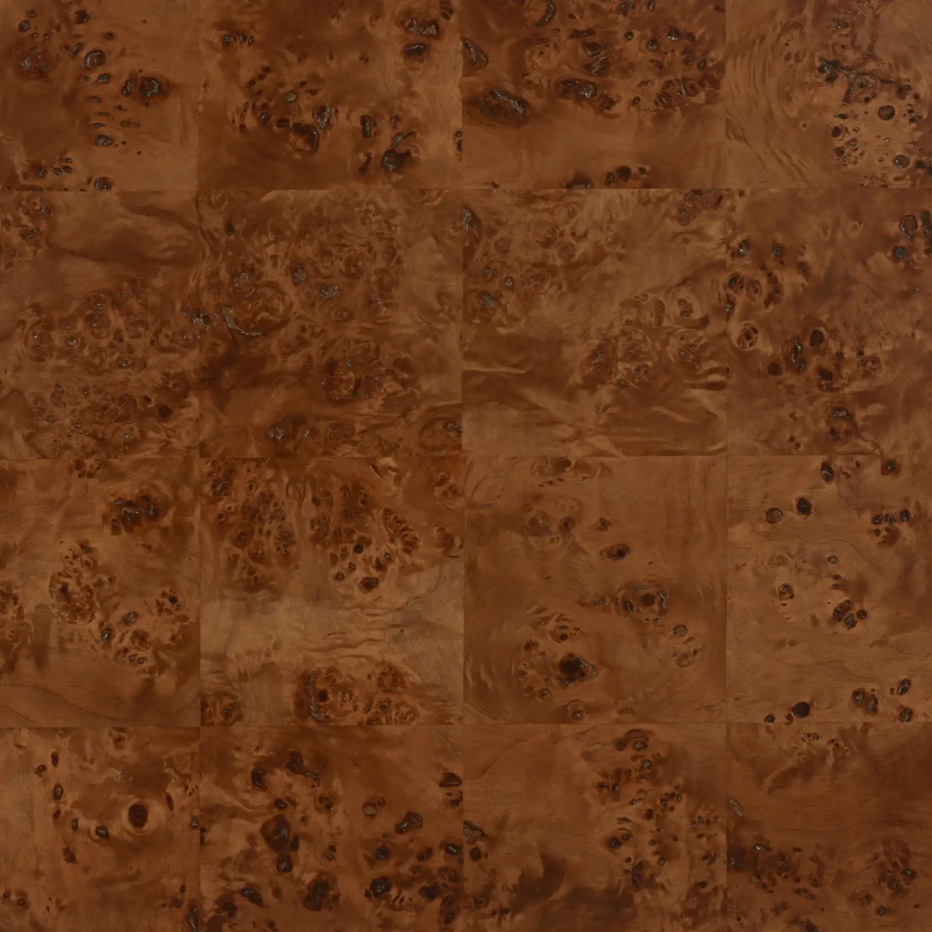 Betharose Burl Wood Coffee Table in Walnut Burl, detail view