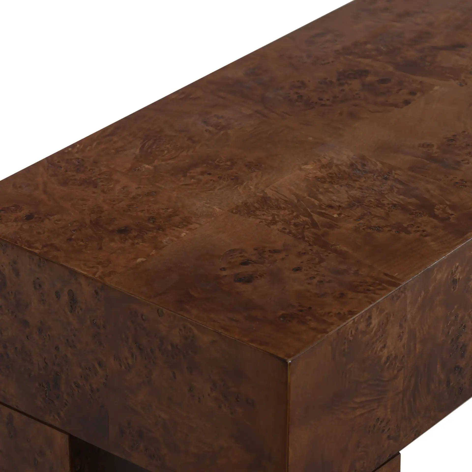 Betharose Burl Wood Console Table in Walnut Burl in a styled room