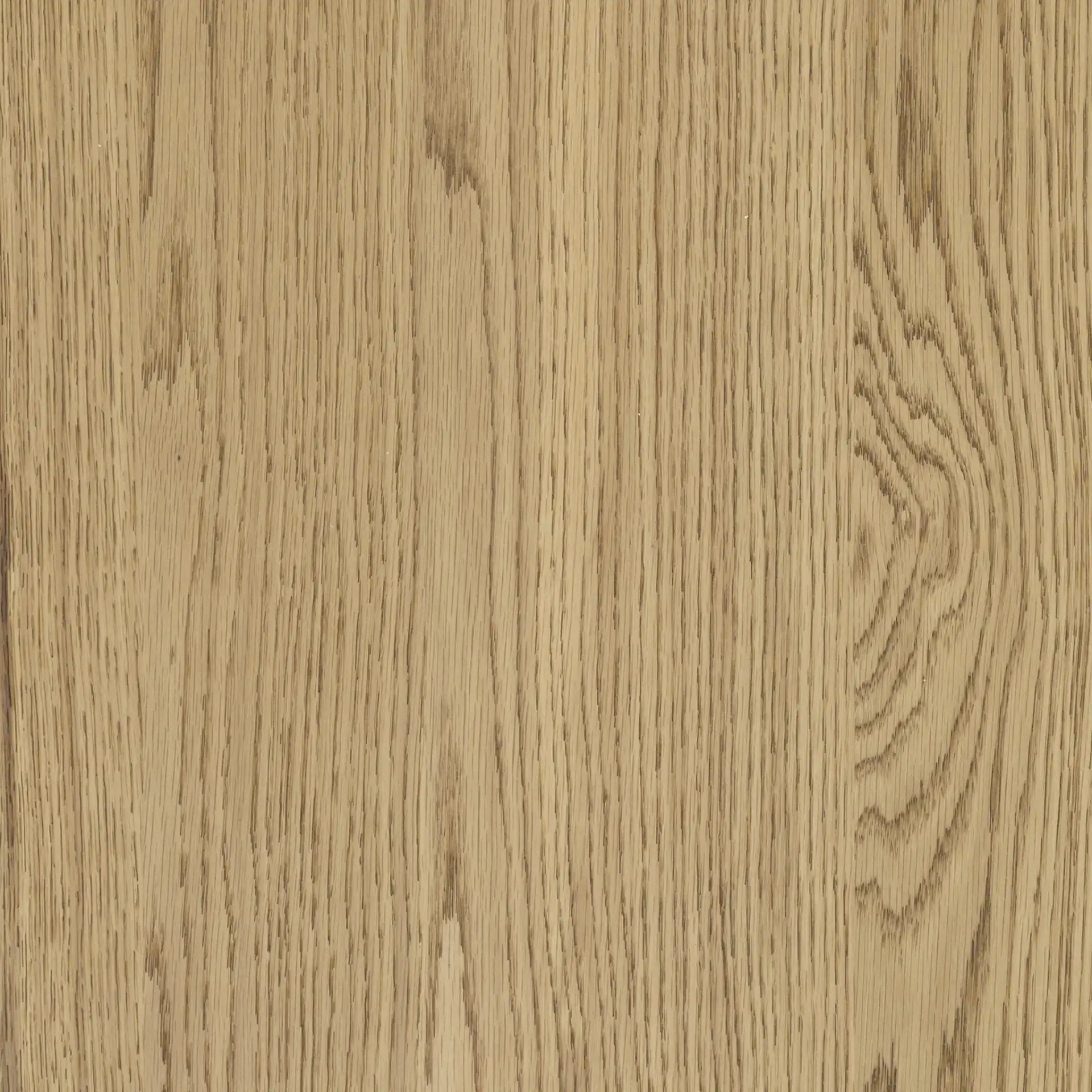 Carmilla One-Drawer Nightstand in Dark Brown Oak, detail view