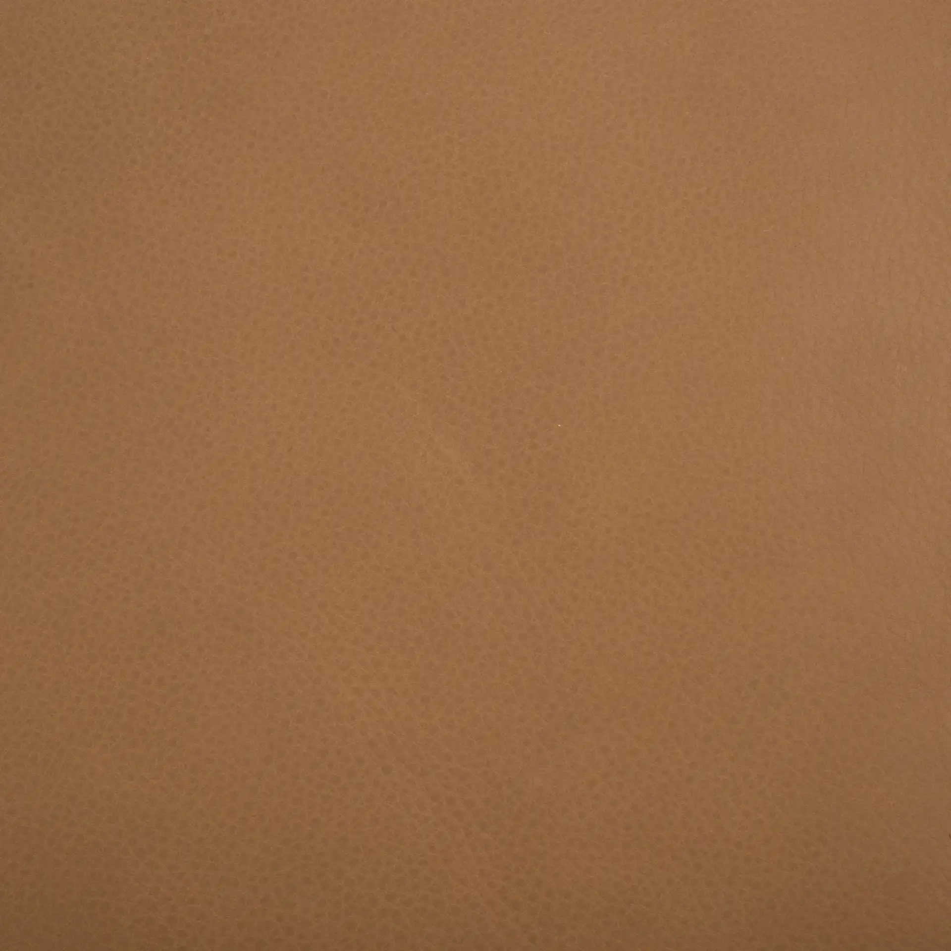 Blanca Leather Sofa in Brown, detail view