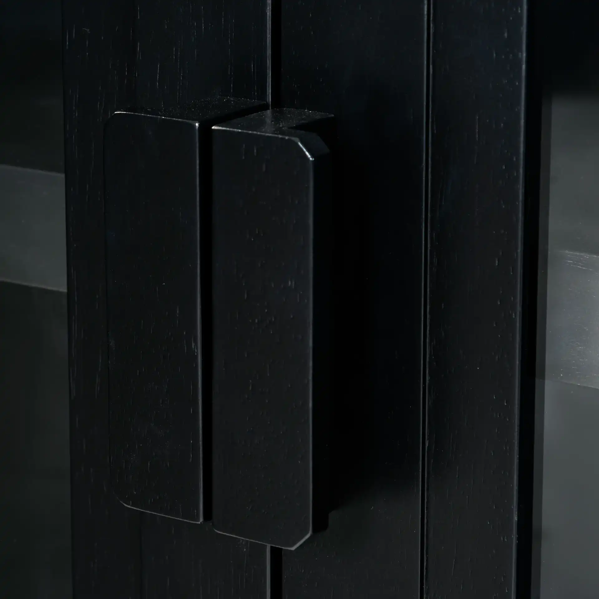 Roades Glass Cabinet Bookcase in Black in a styled room