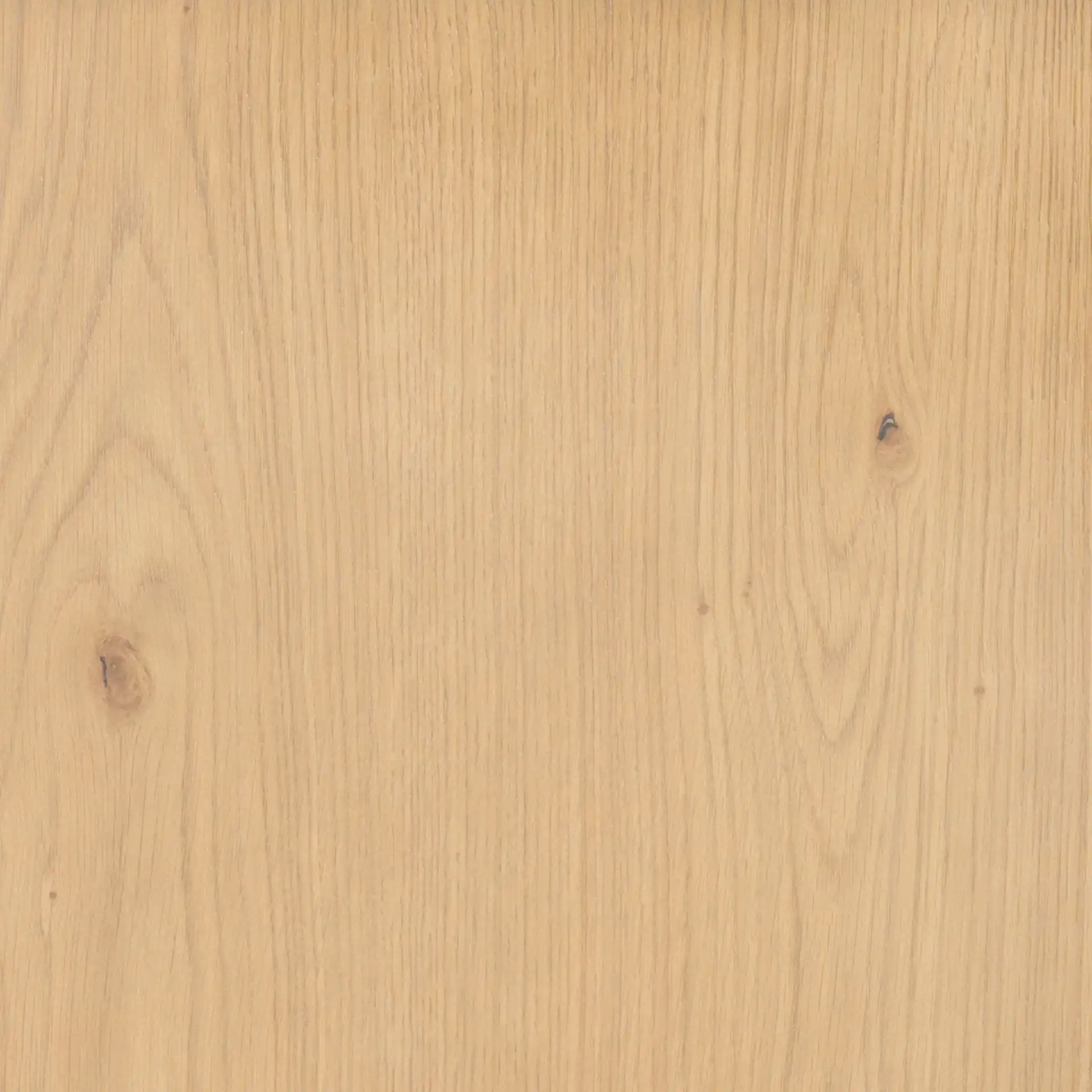 Jaylessa 5 Shelf Wood Bookcase in Natural, detail view