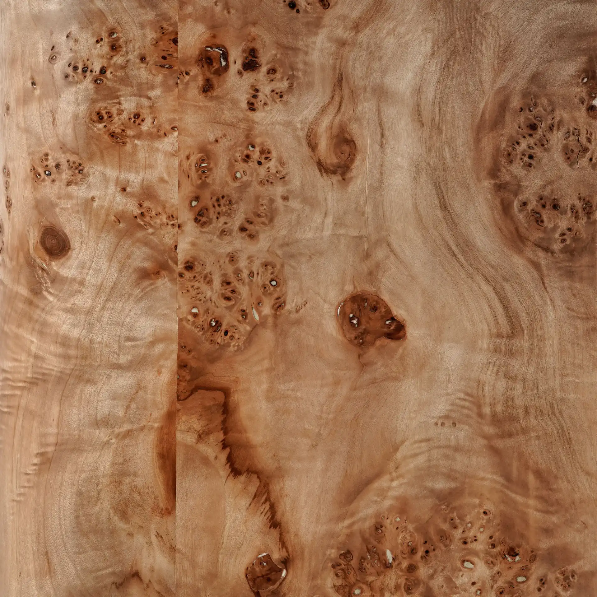 Celestanno Burl Sideboard in Burl / Silver, detail view