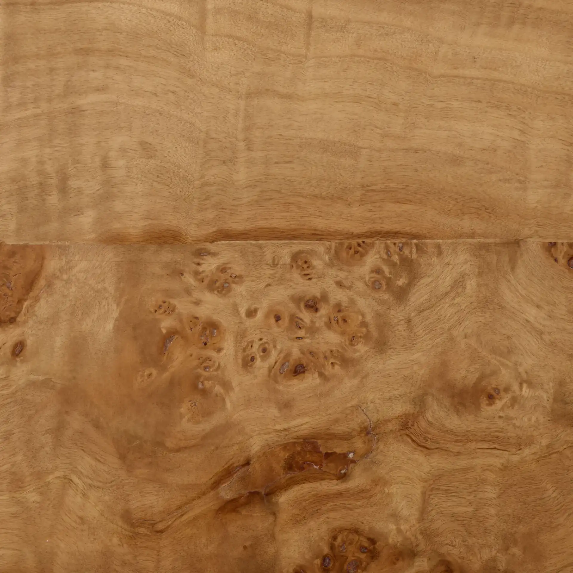 Torryn Burl Accent Table in Walnut Burl, detail view