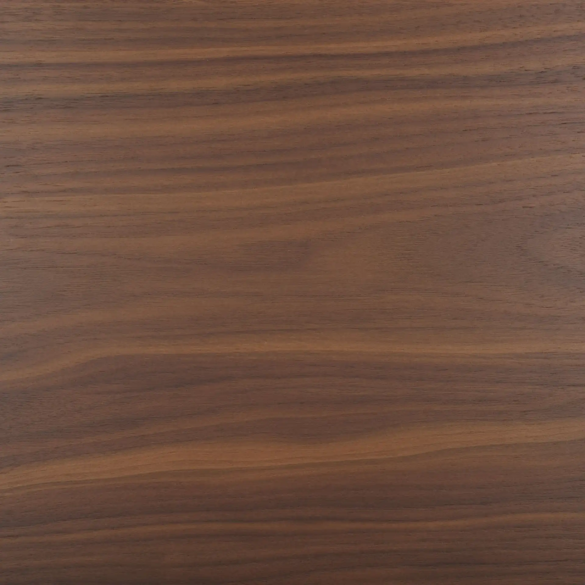 Rhonda Round Wood Dining Table in Walnut / Black, detail view