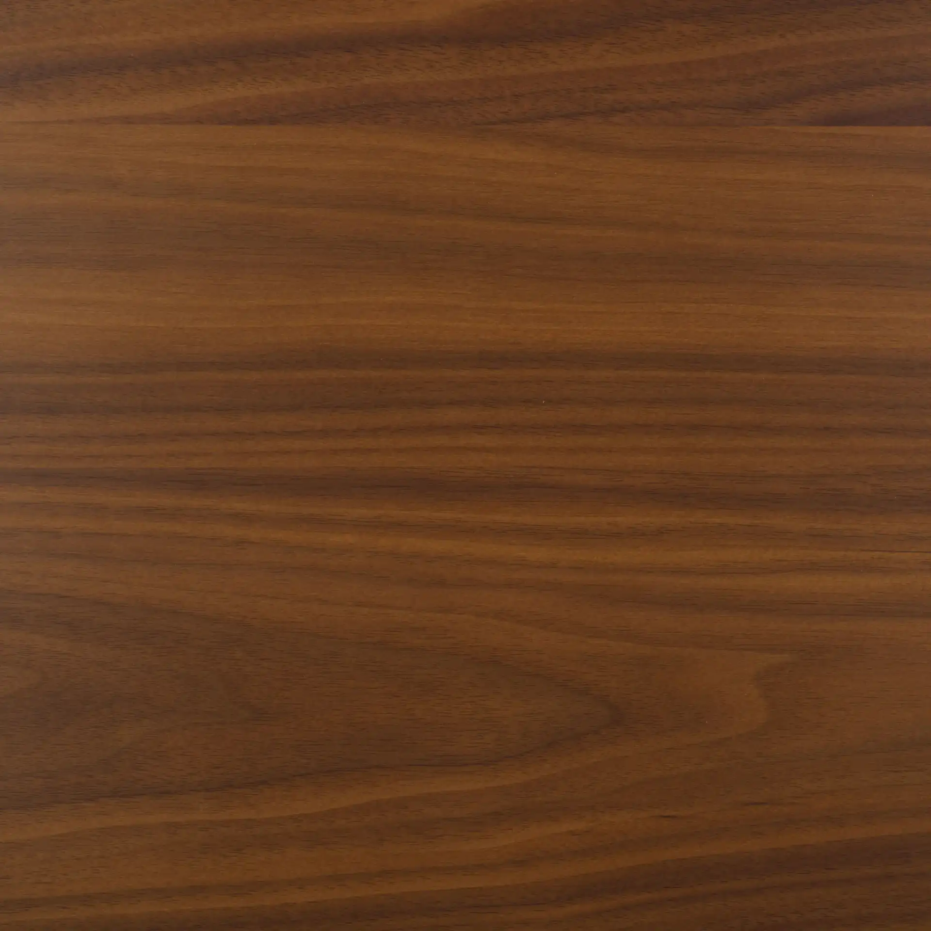 Divya Rectangular Wood Dining Table in Walnut / Black, detail view
