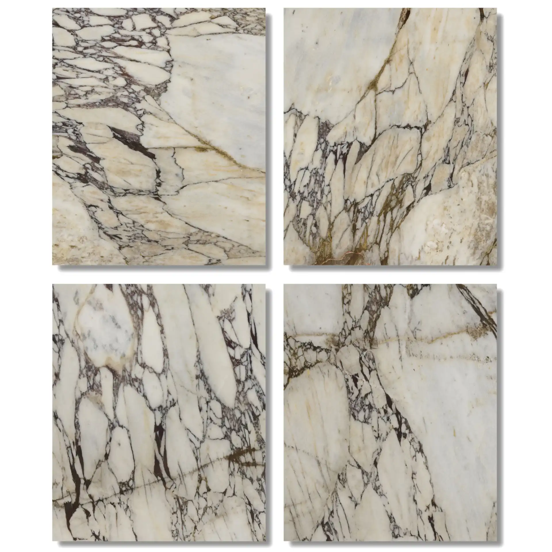 Shayrina Marble Coffee Table in Natural / White, detail view