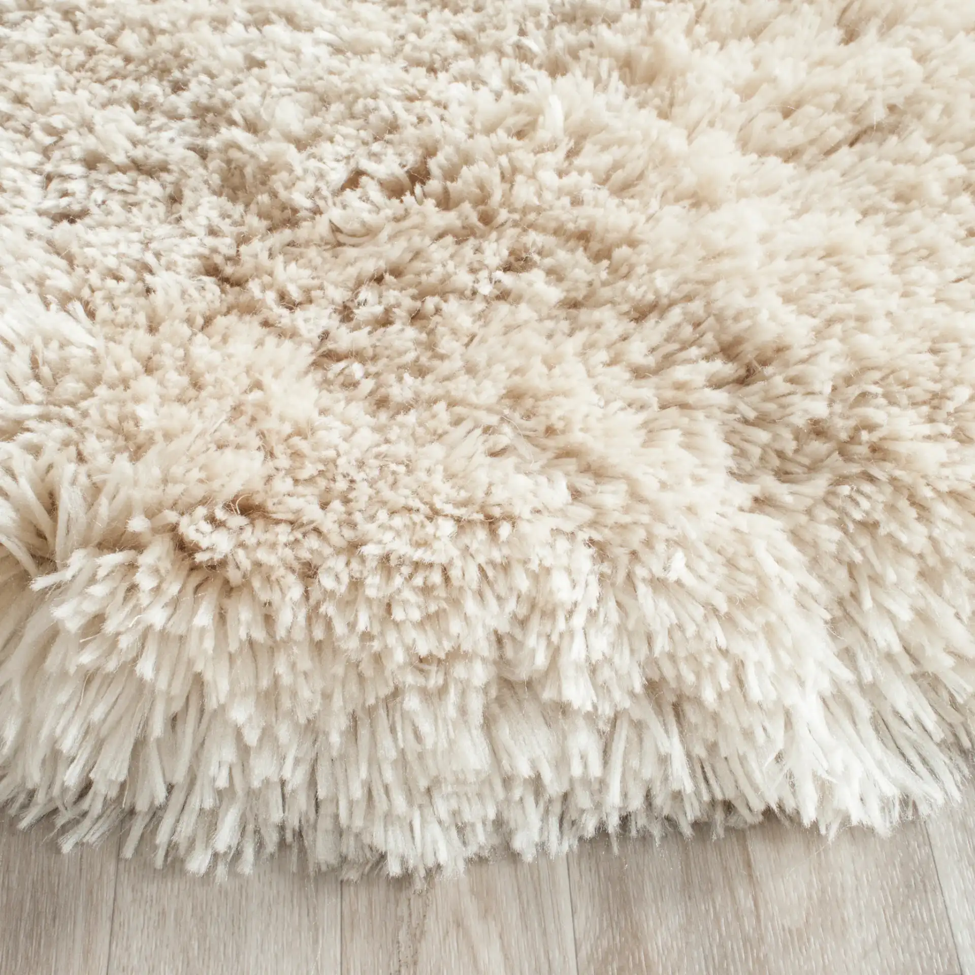Arctic Solid Hand-Tufted Shag Rug in Light Beige in a styled room