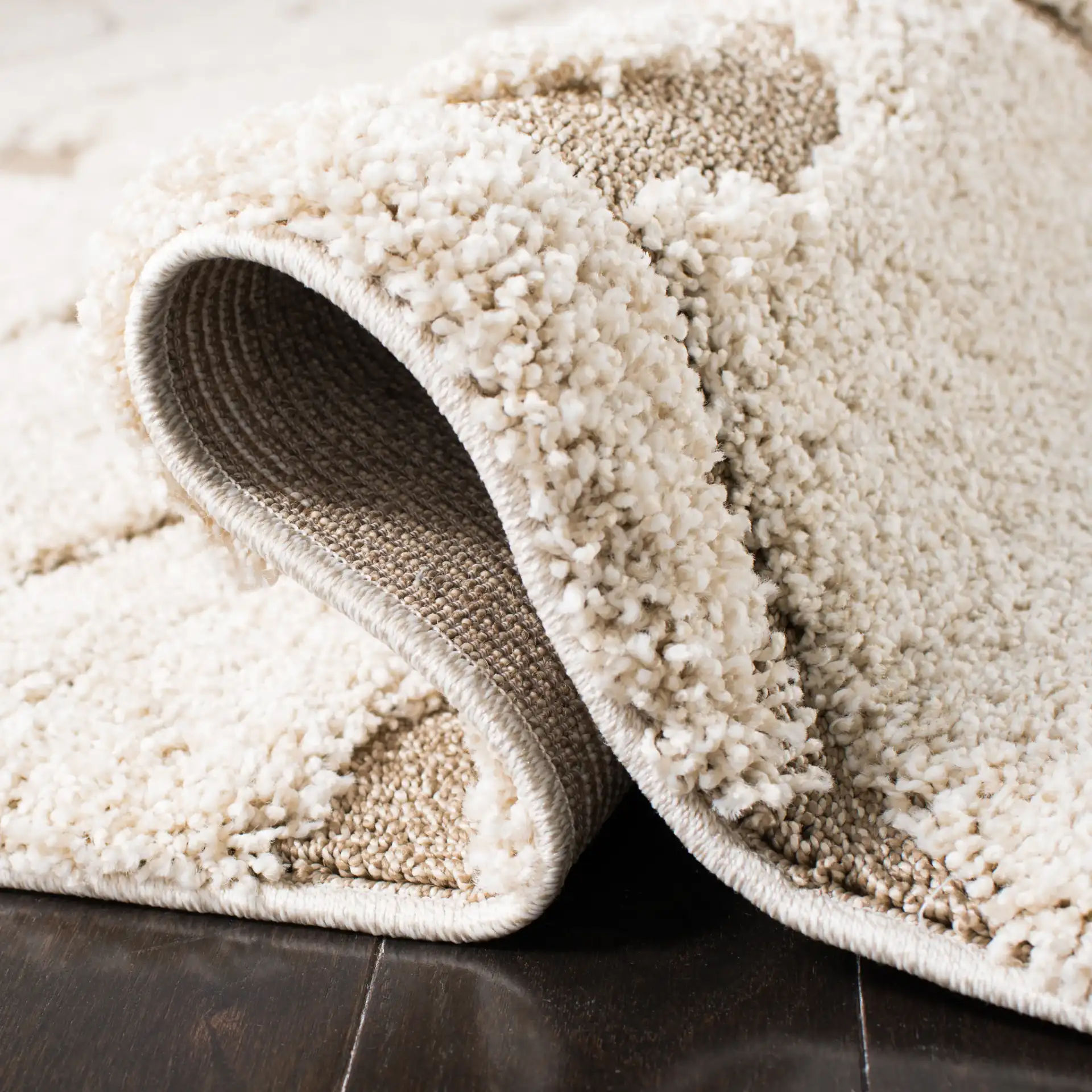 Florida Scroll Shag Rug in Cream / Beige in a styled room