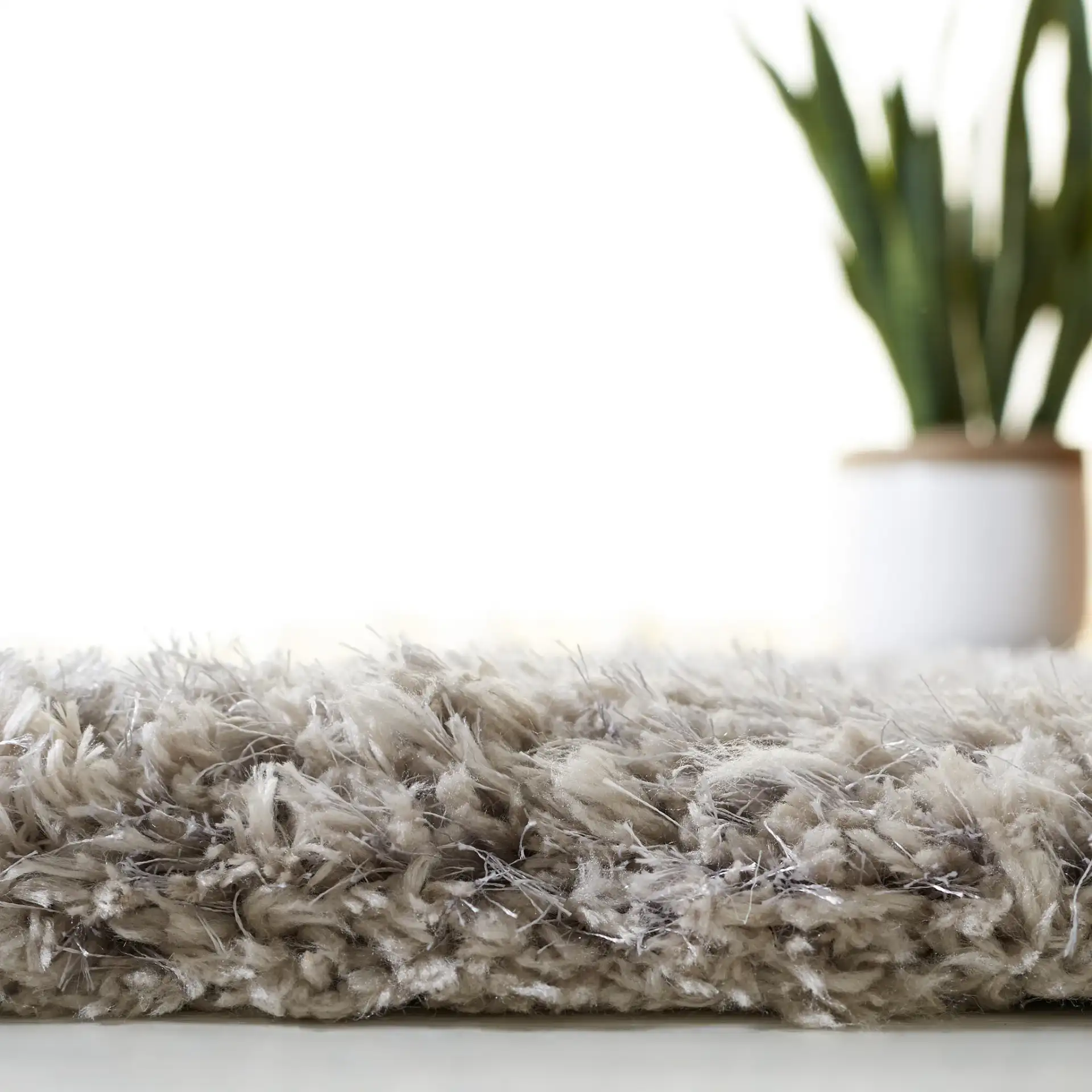 Florence Solid Hand-Tufted Shag Rug in Silver in a styled room